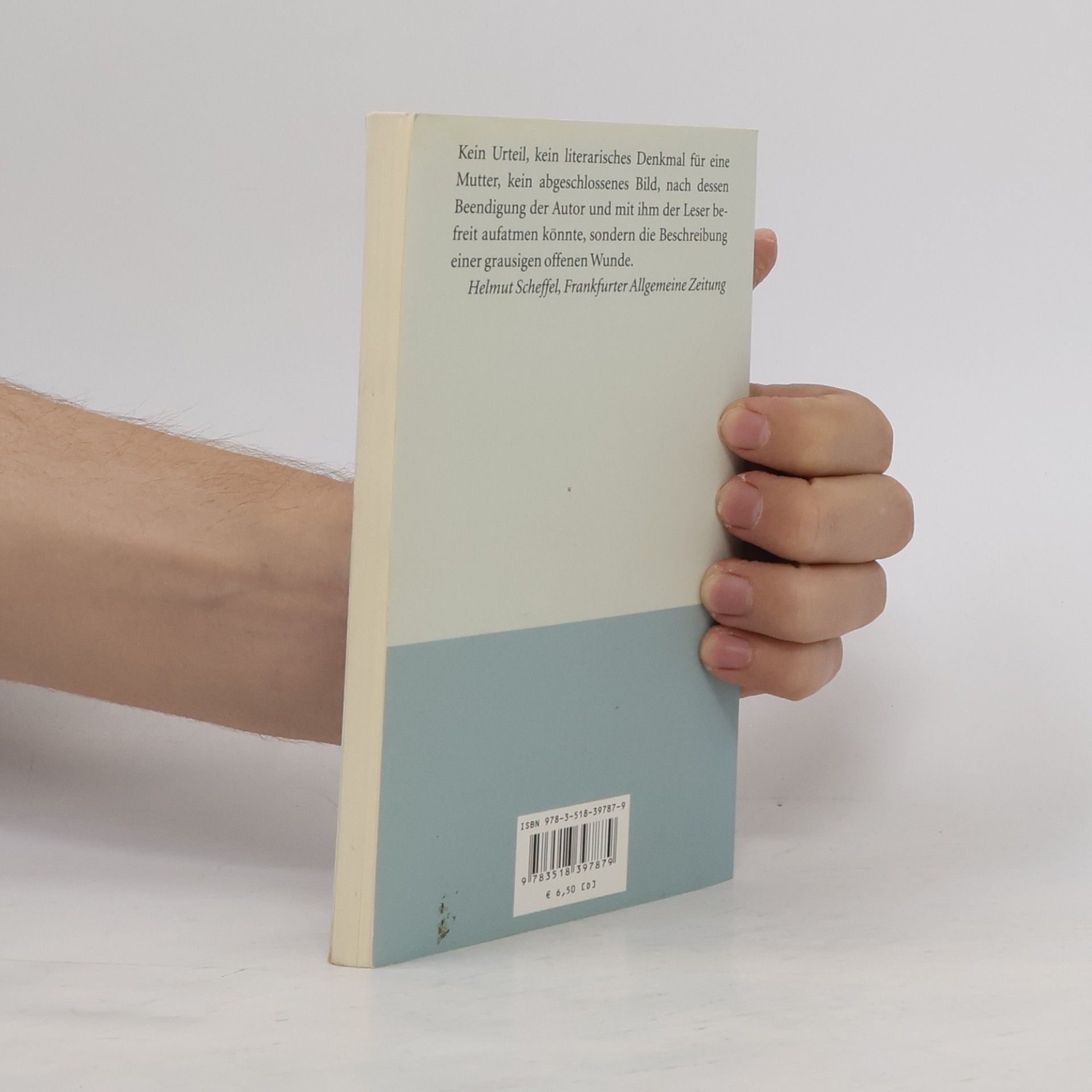 Peter Handke Wunschloses Unglück