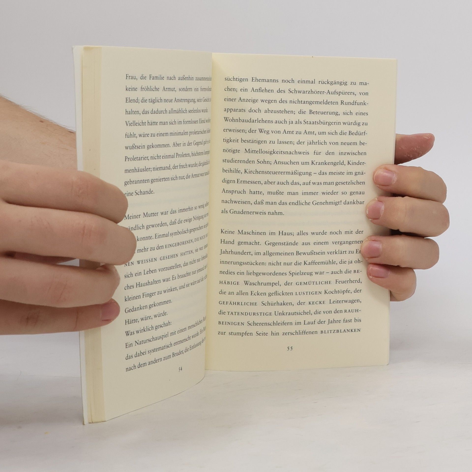Peter Handke Wunschloses Unglück
