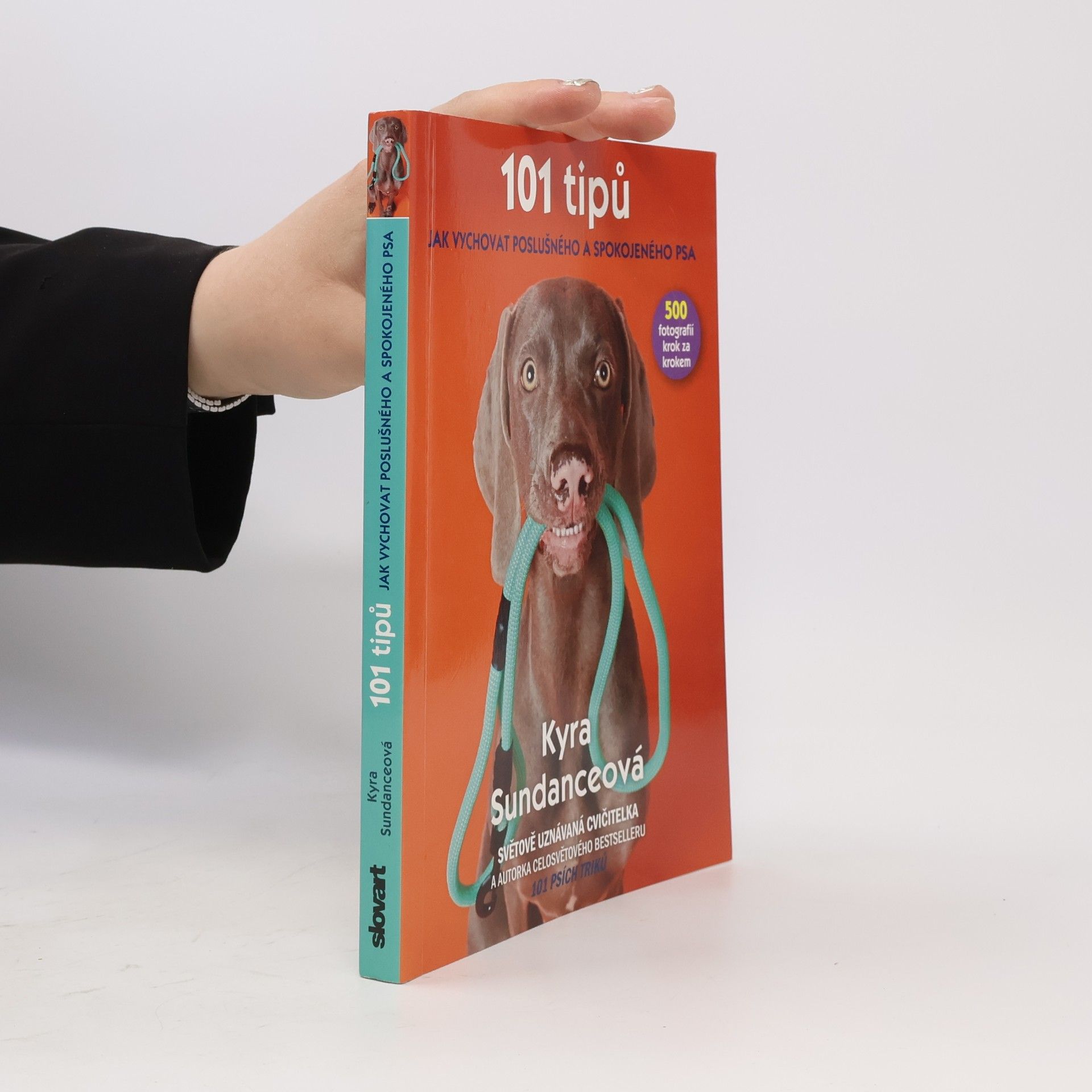 Michael Talián 101 tipů jak vychovat poslušného a spokojeného psa
