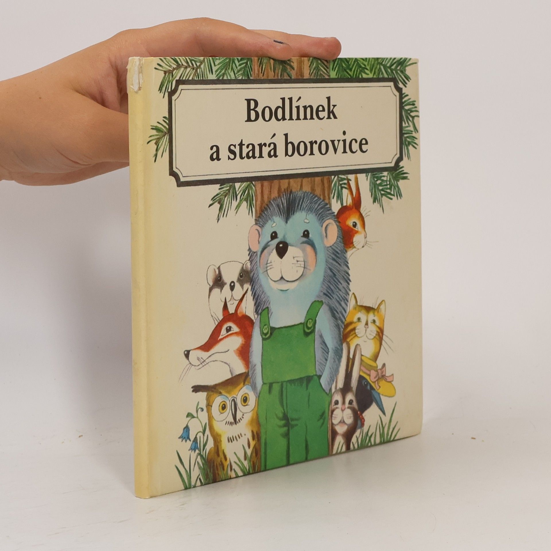 Bodlínek a stará borovice