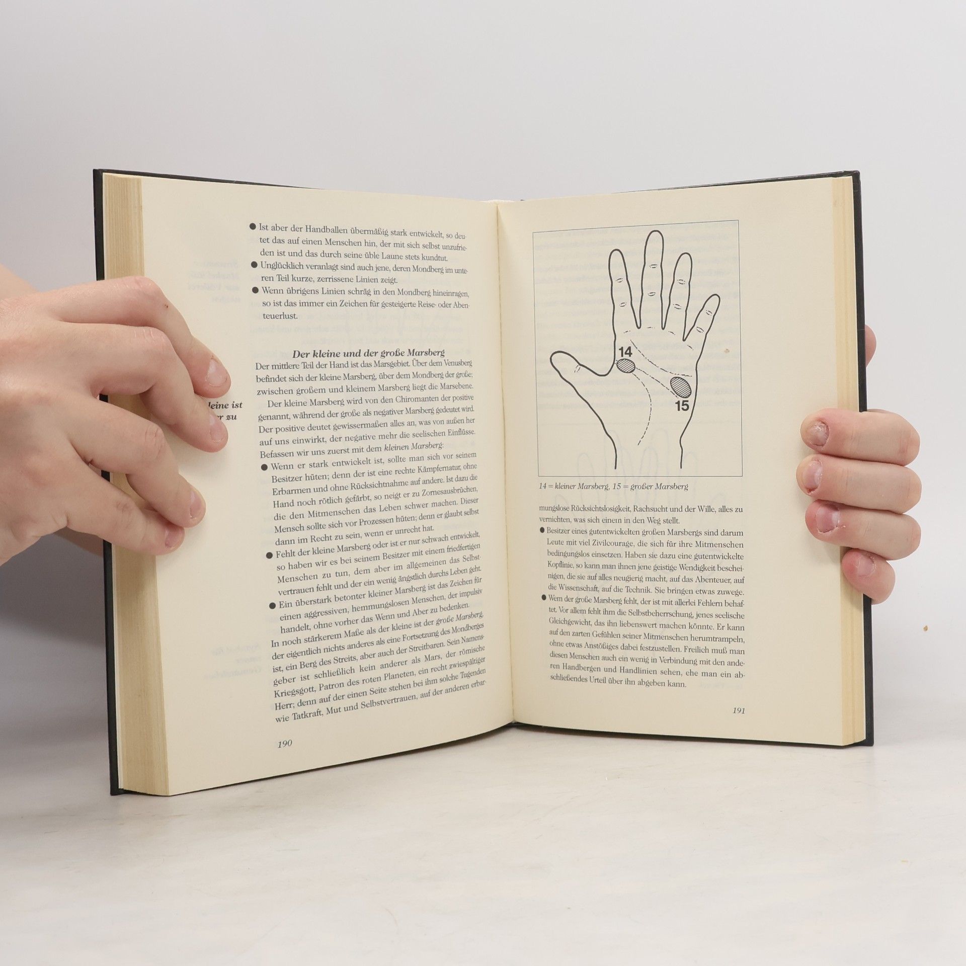 Erika Sauer Das grosse Buch der magische Kräfte
