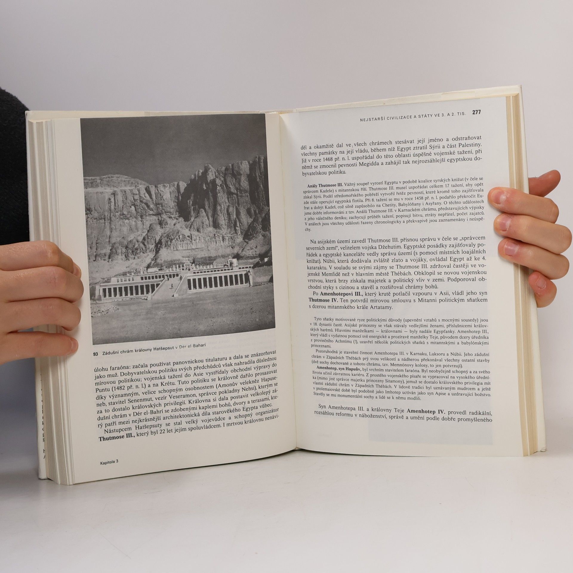 Various authors Dějiny pravěku a starověku 1