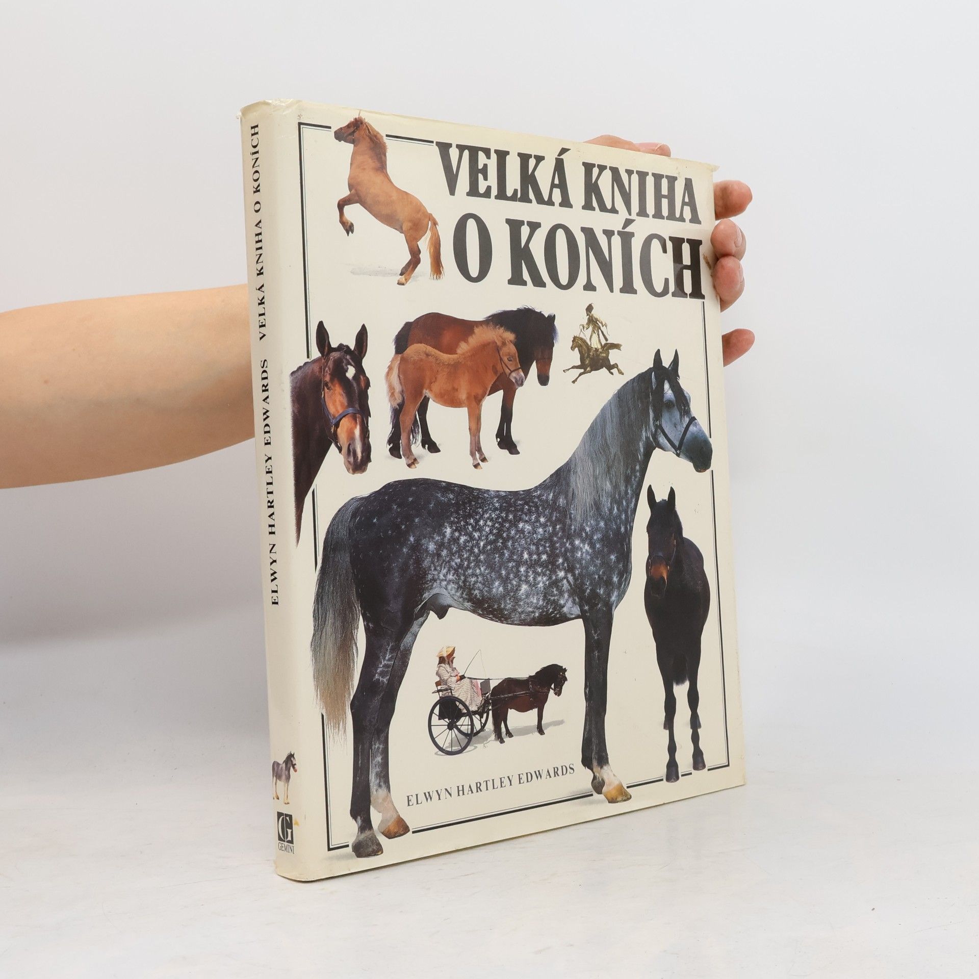 Velká kniha o koních