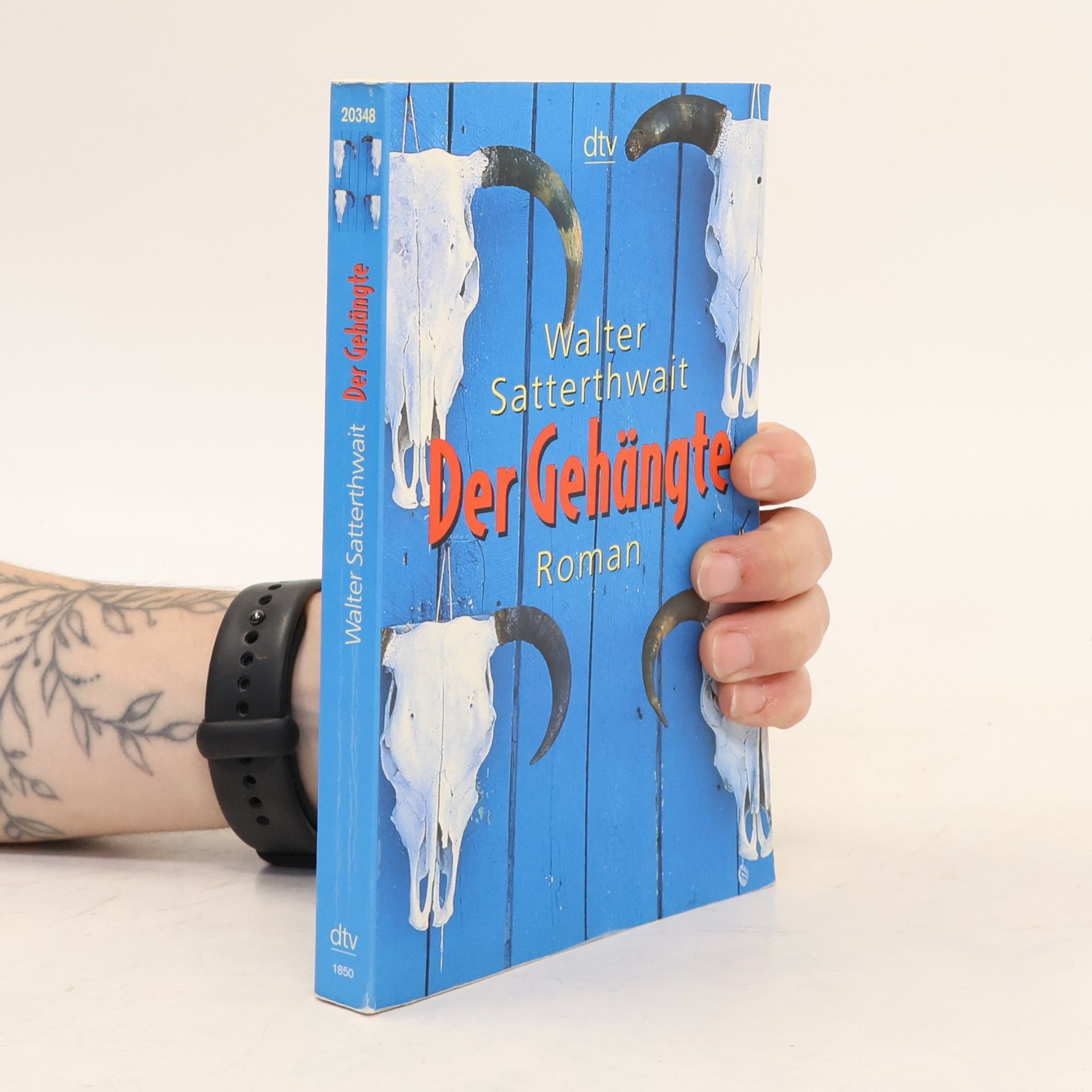 Walter Satterthwait Der Gehängte. Roman. Dtsch. v. Klaus Schomburg