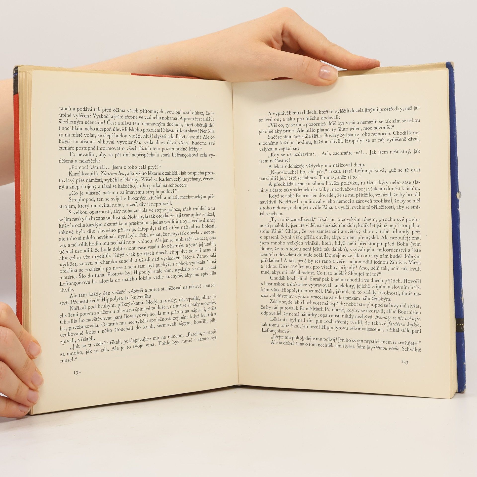 Gustave Flaubert Paní Bovaryová