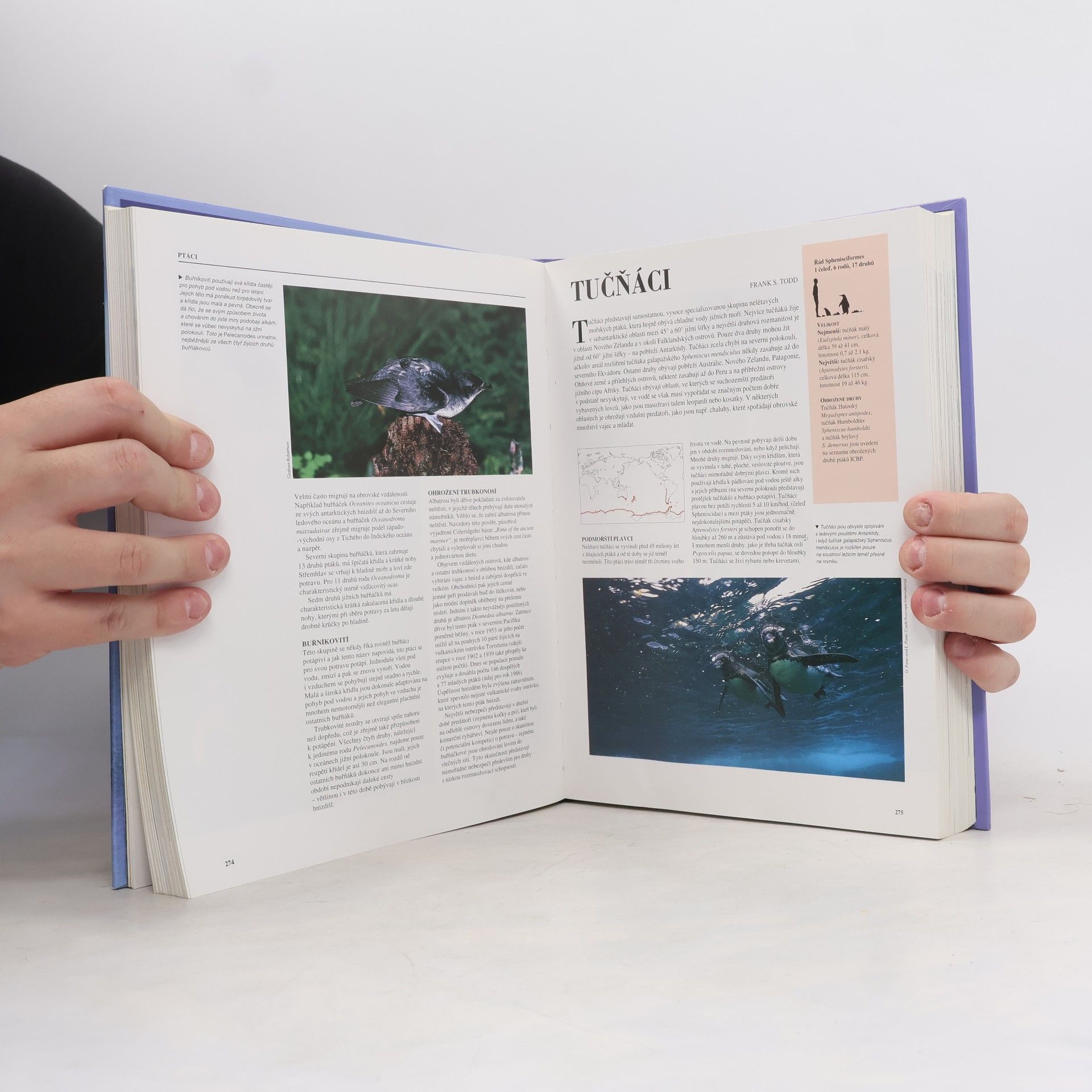 Autorenkollektiv Zvířata. Velká encyklopedie