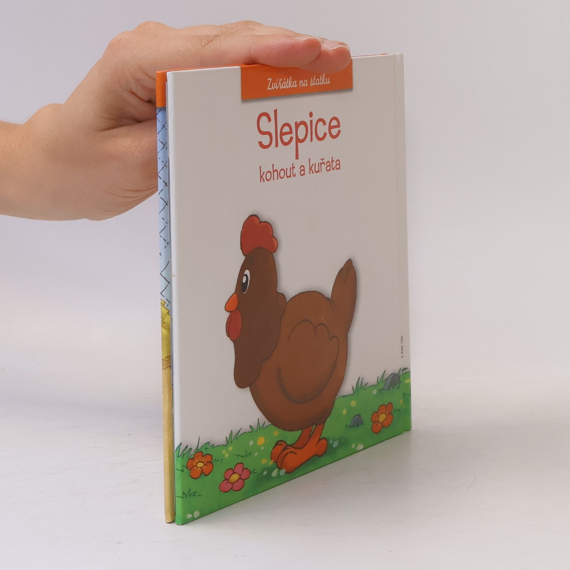 Kolektív autorov Slepice, kohout a kuřata