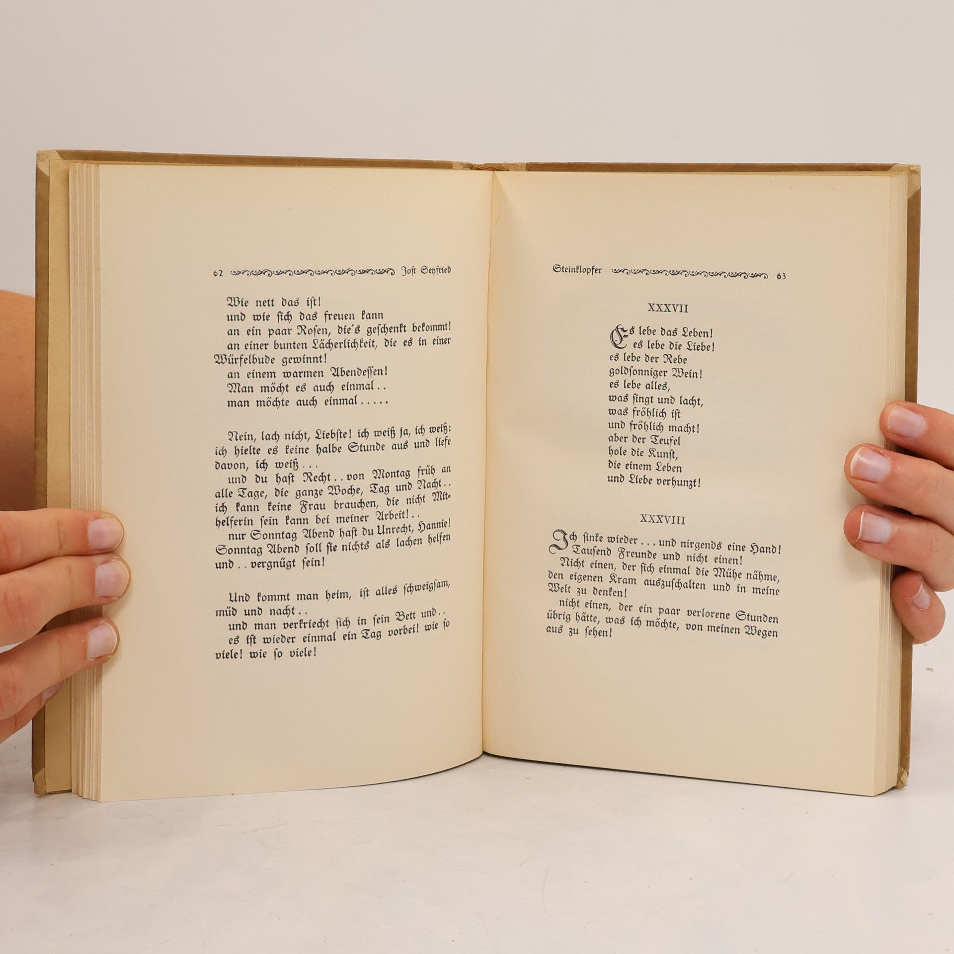 Jost Seyfried Sprüche eines Steinklopfers. Erstes Buch