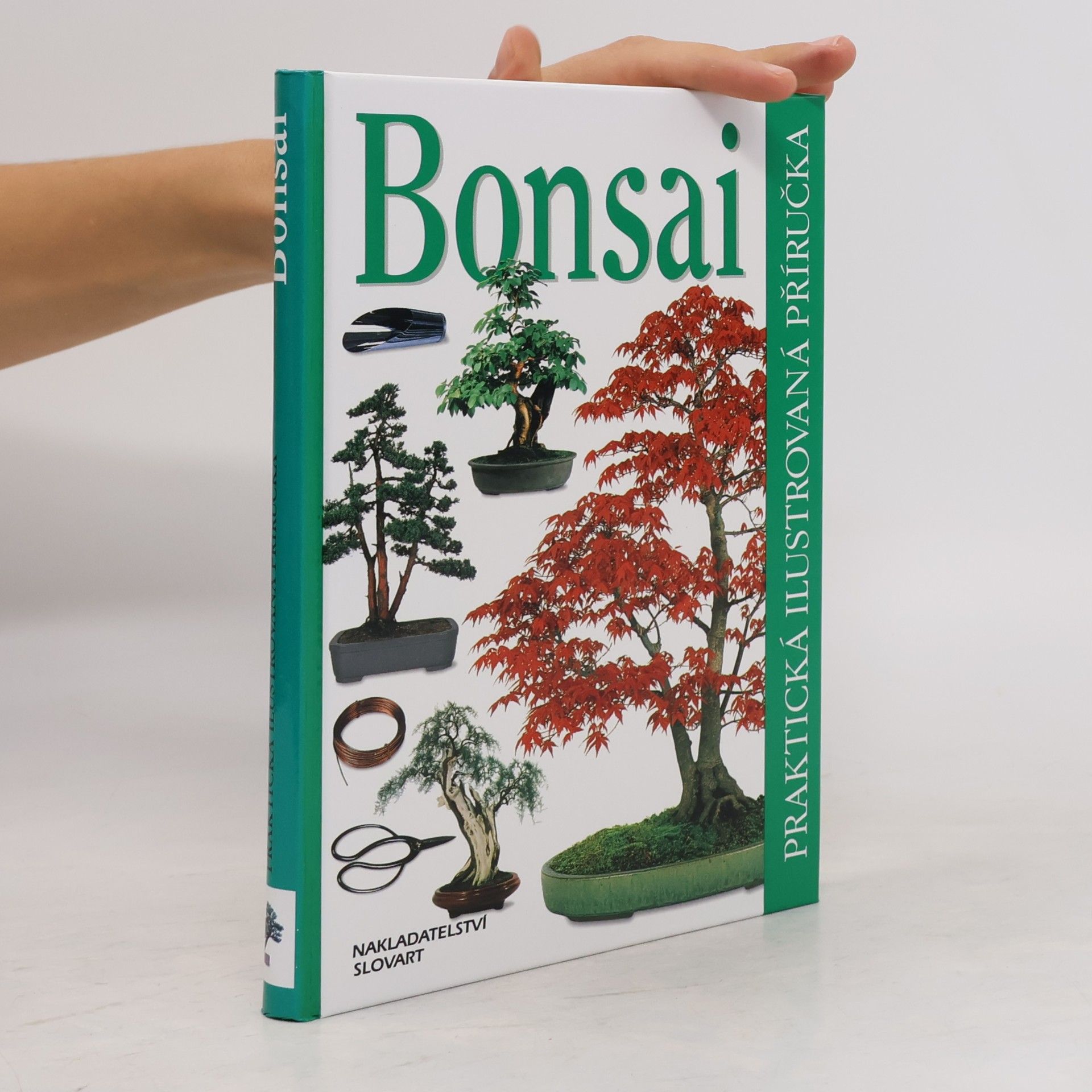 Dana Wiesnerová Bonsai. Praktická ilustrovaná příručka