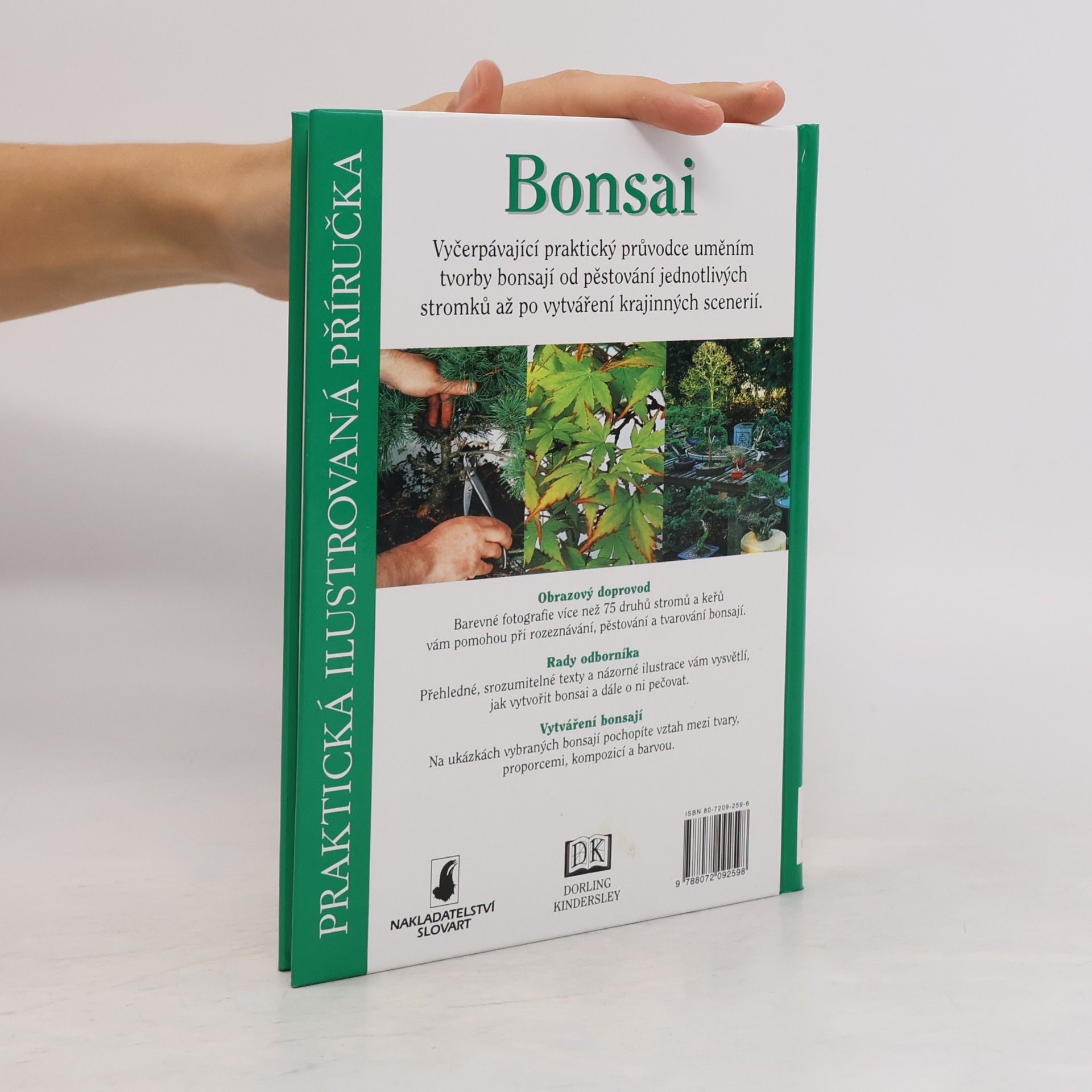 Dana Wiesnerová Bonsai. Praktická ilustrovaná příručka