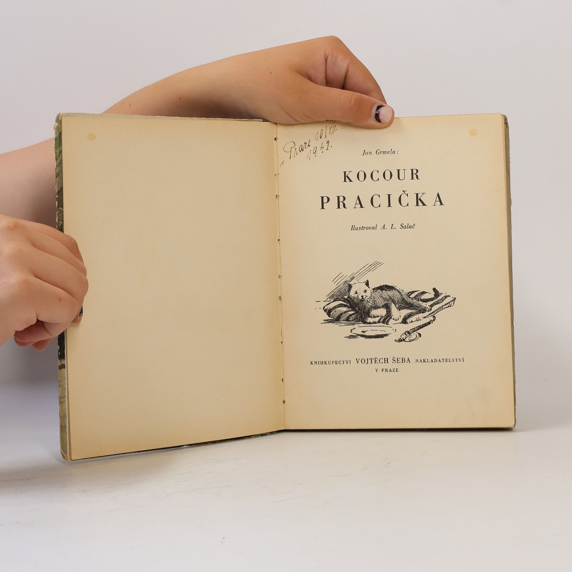 Jan Grmela Kocour Pracička