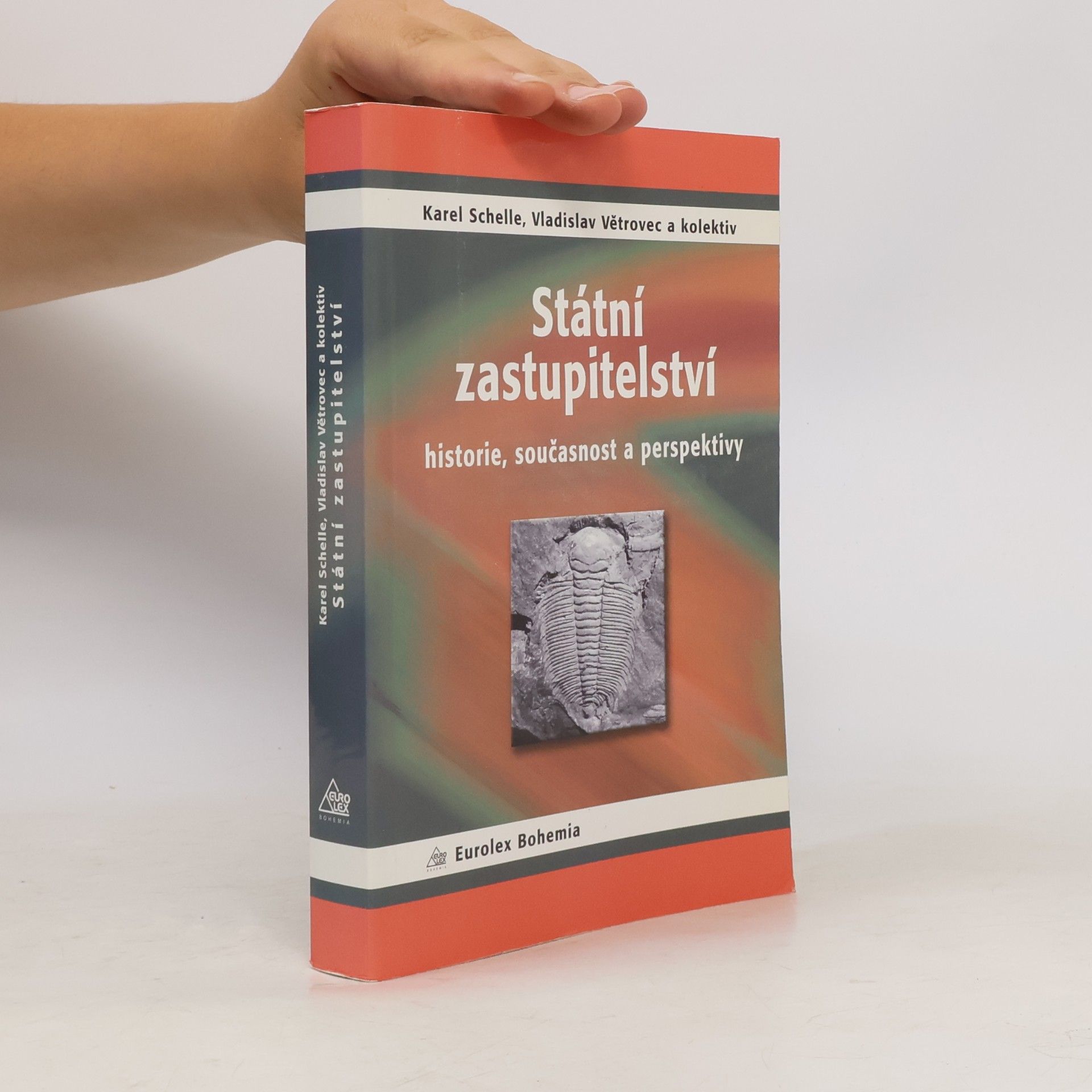 Vladislav Větrovec Státní zastupitelství : historie, současnost a perspektivy