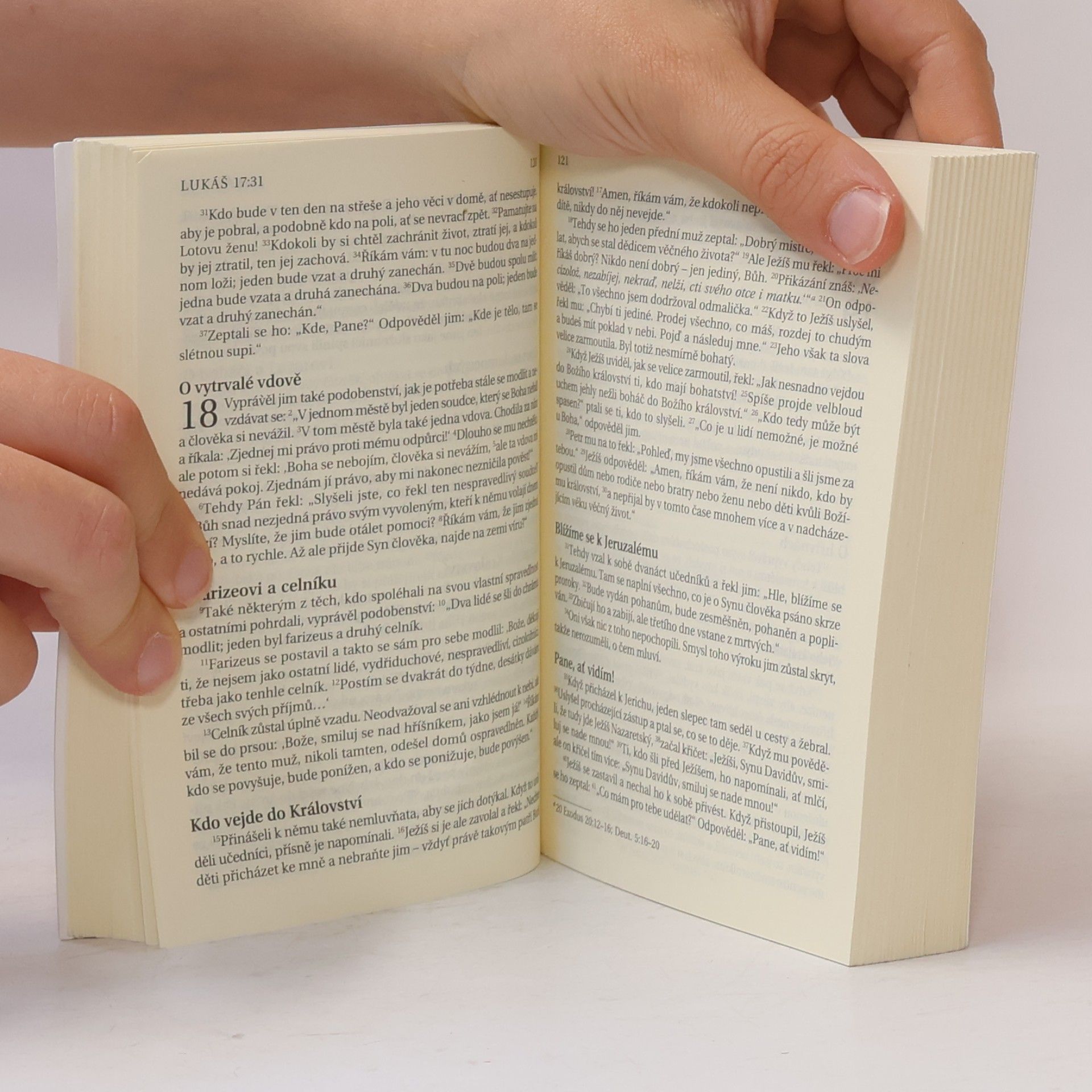 Alexandr Flek Nový zákon. Žalmy. Nová Bible kralická