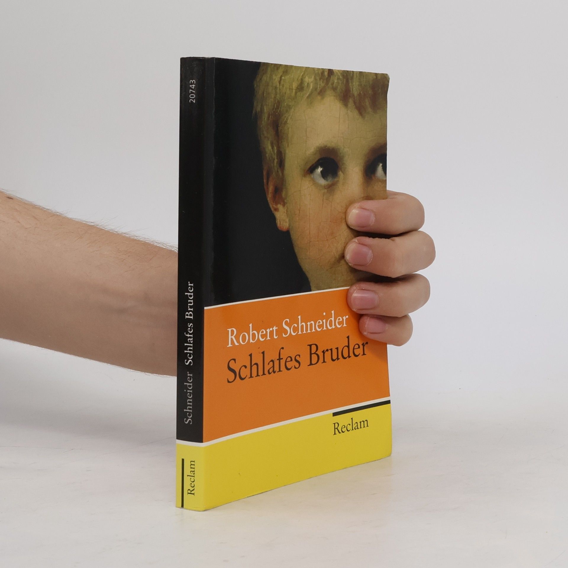 Robert Schneider Schlafes Bruder