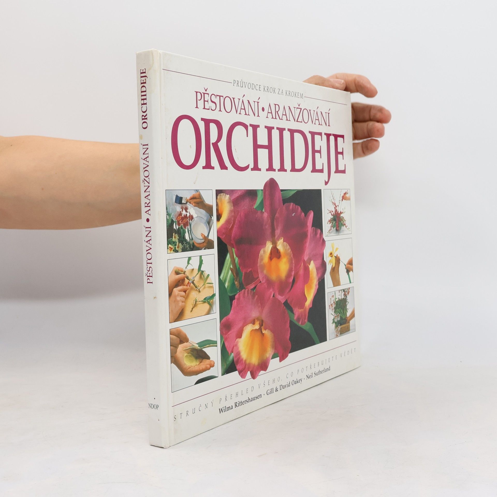 neuveden Pěstování aranžování: Orchideje