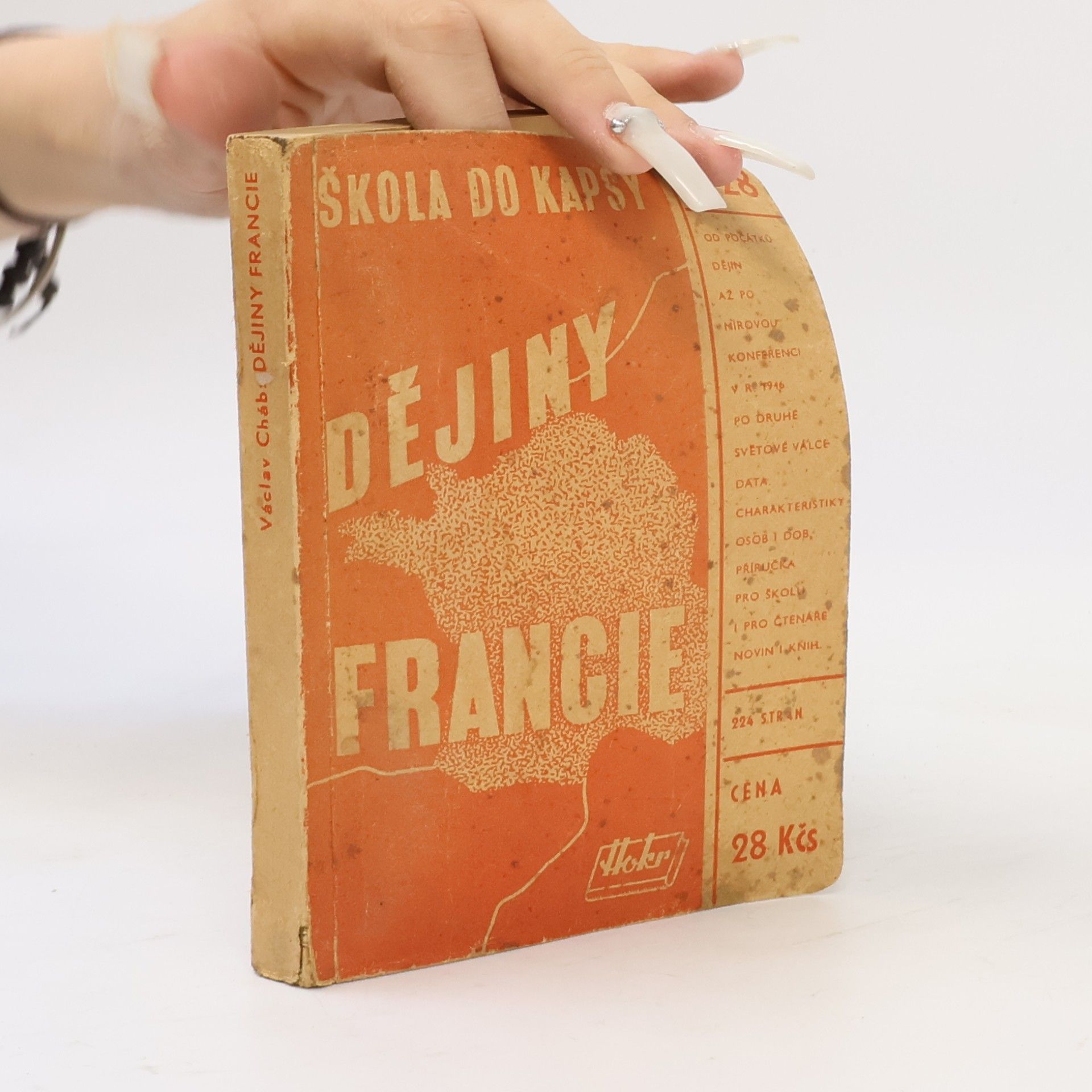 Cháb Václav Dějiny Francie