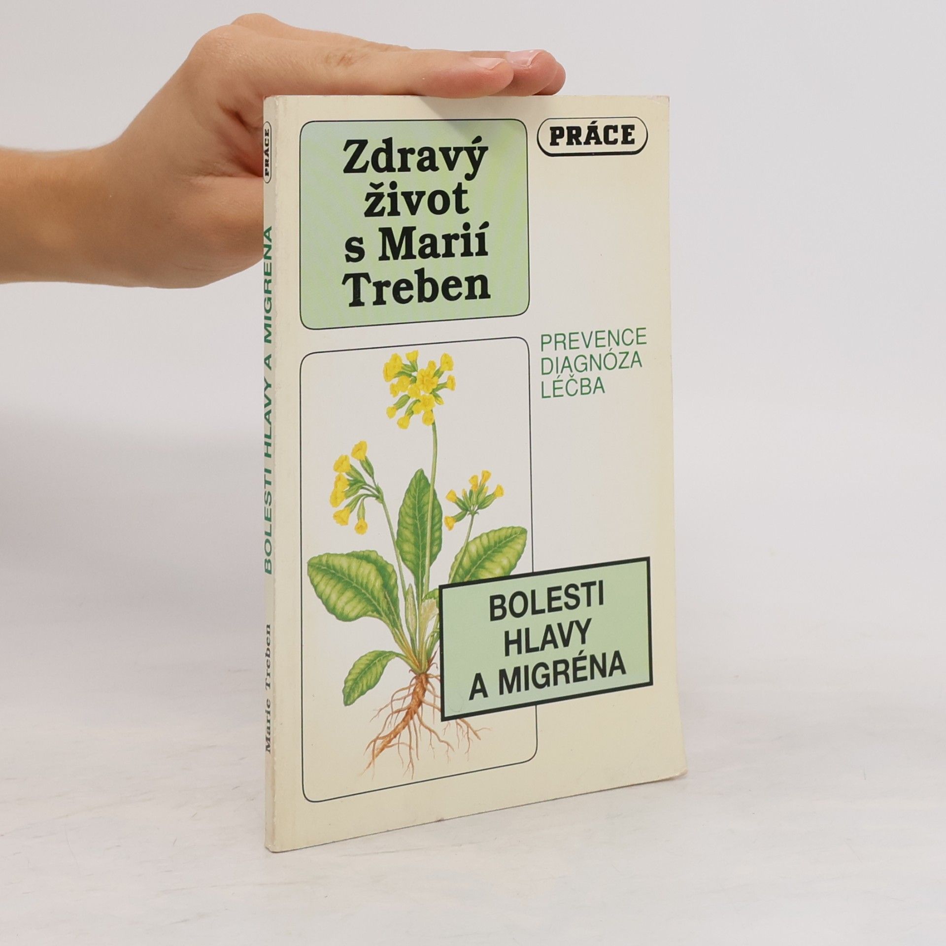 Maria Treben Bolesti hlavy a migréna