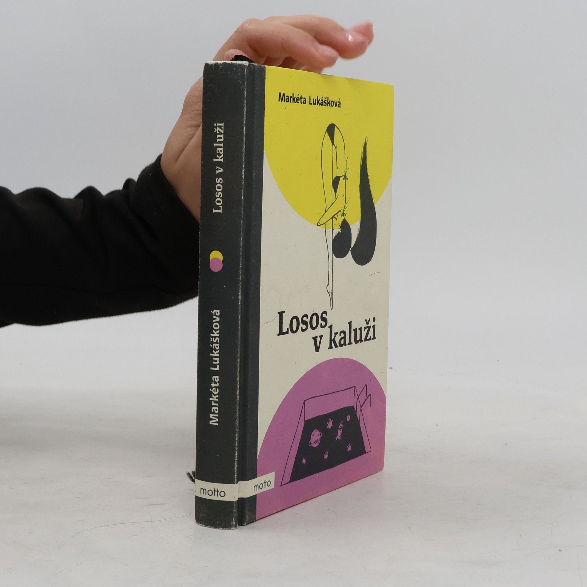 Markéta Lukášková Losos v kaluži