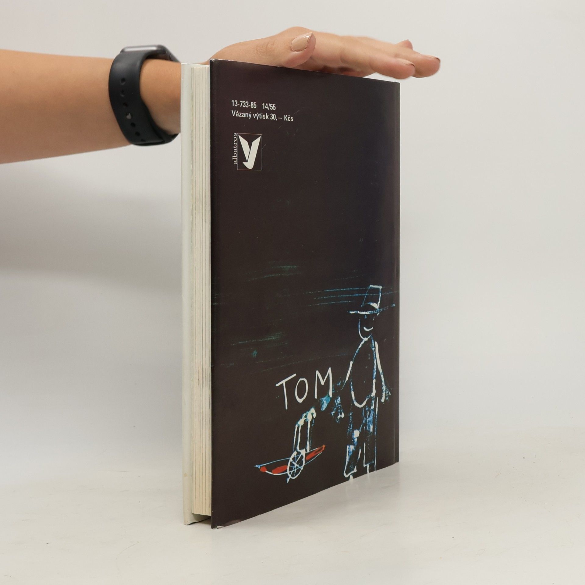 Mark Twain Dobrodružství Toma Sawyera