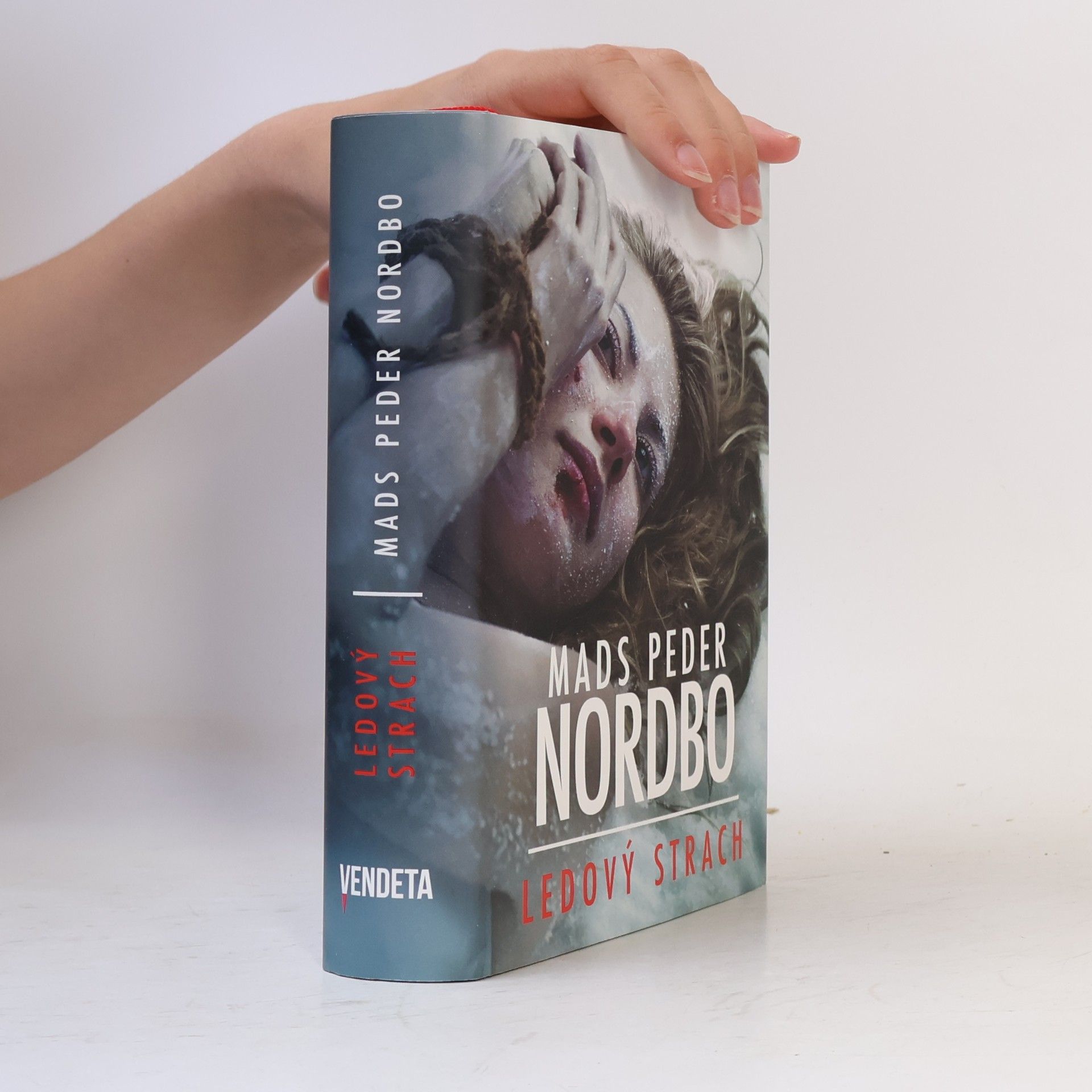 Mads Peder Nordbo Ledový strach
