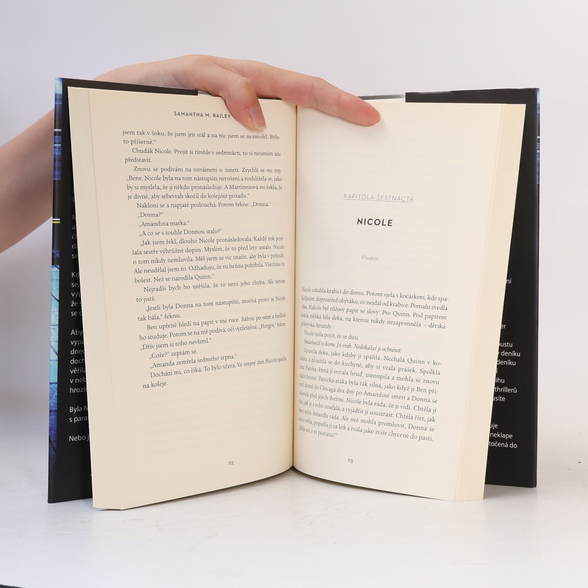 Samantha M. Bailey Na pokraji sil