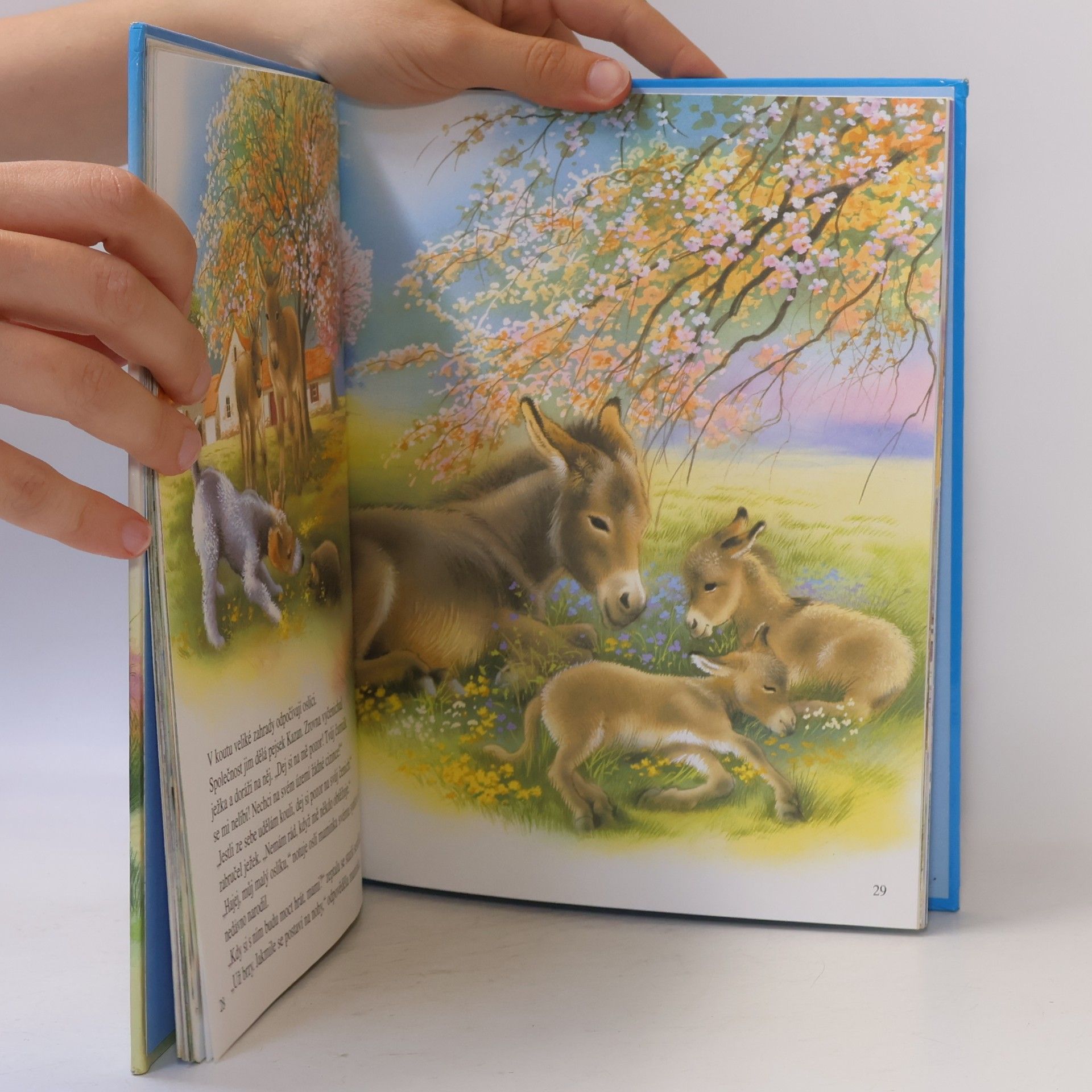 Jitka Mádrová Nová knížka o zvířátkách