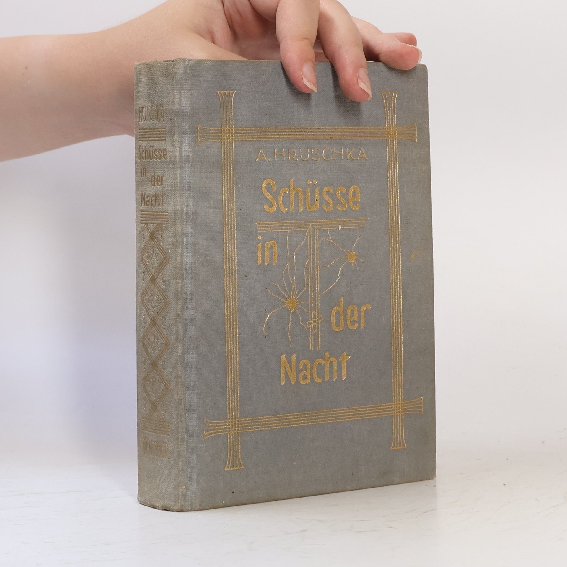 Annie Hruschka Schüsse in der Nacht
