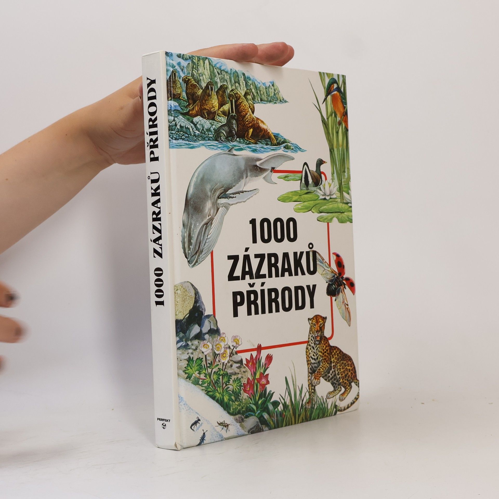 Evžen K°us 1000 zázraků přírody