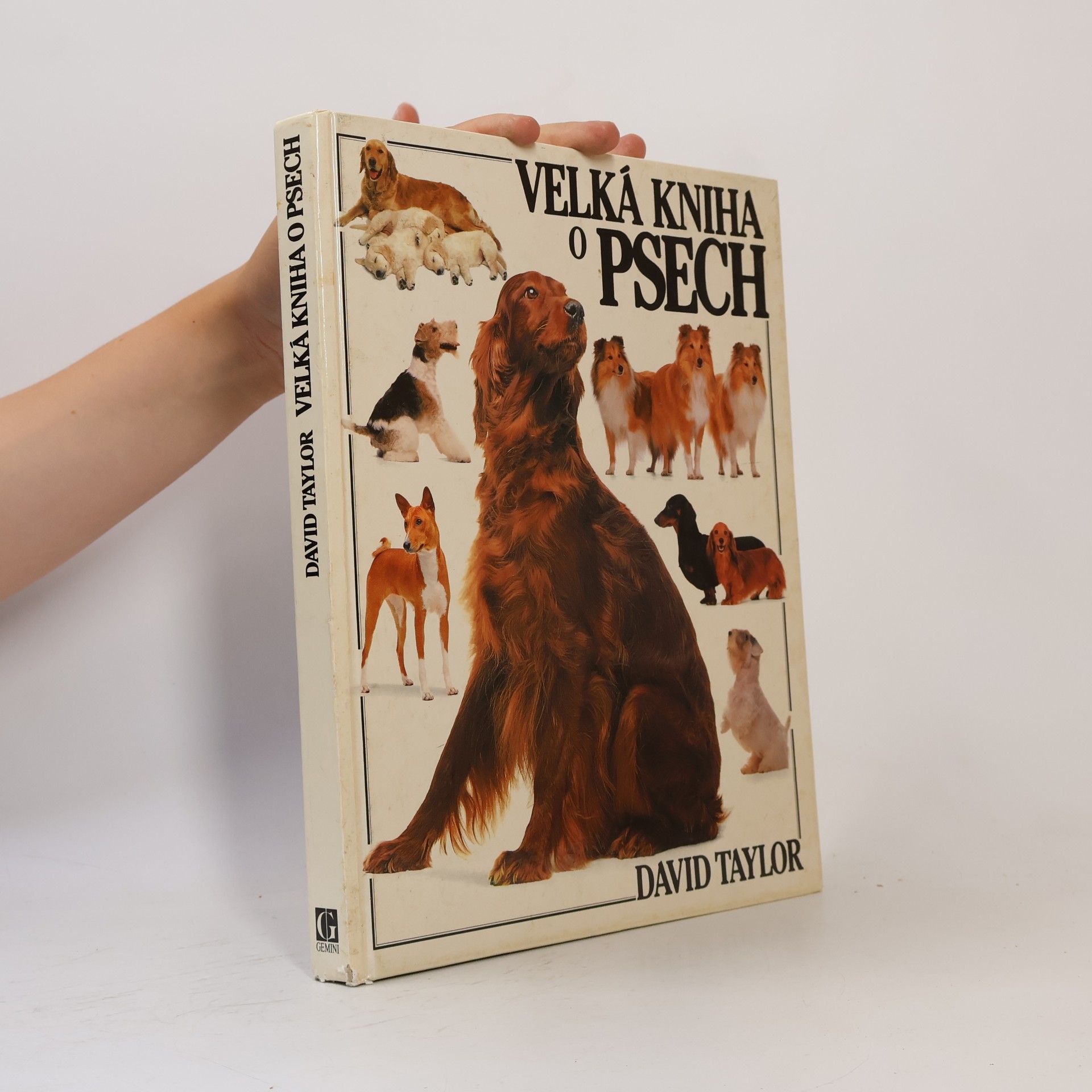 David Conrad Taylor Velká kniha o psech