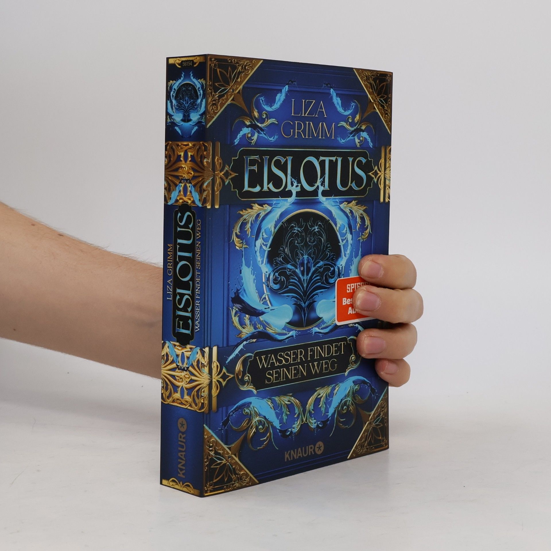 Liza Grimm Eislotus. Wasser findet seinen Weg