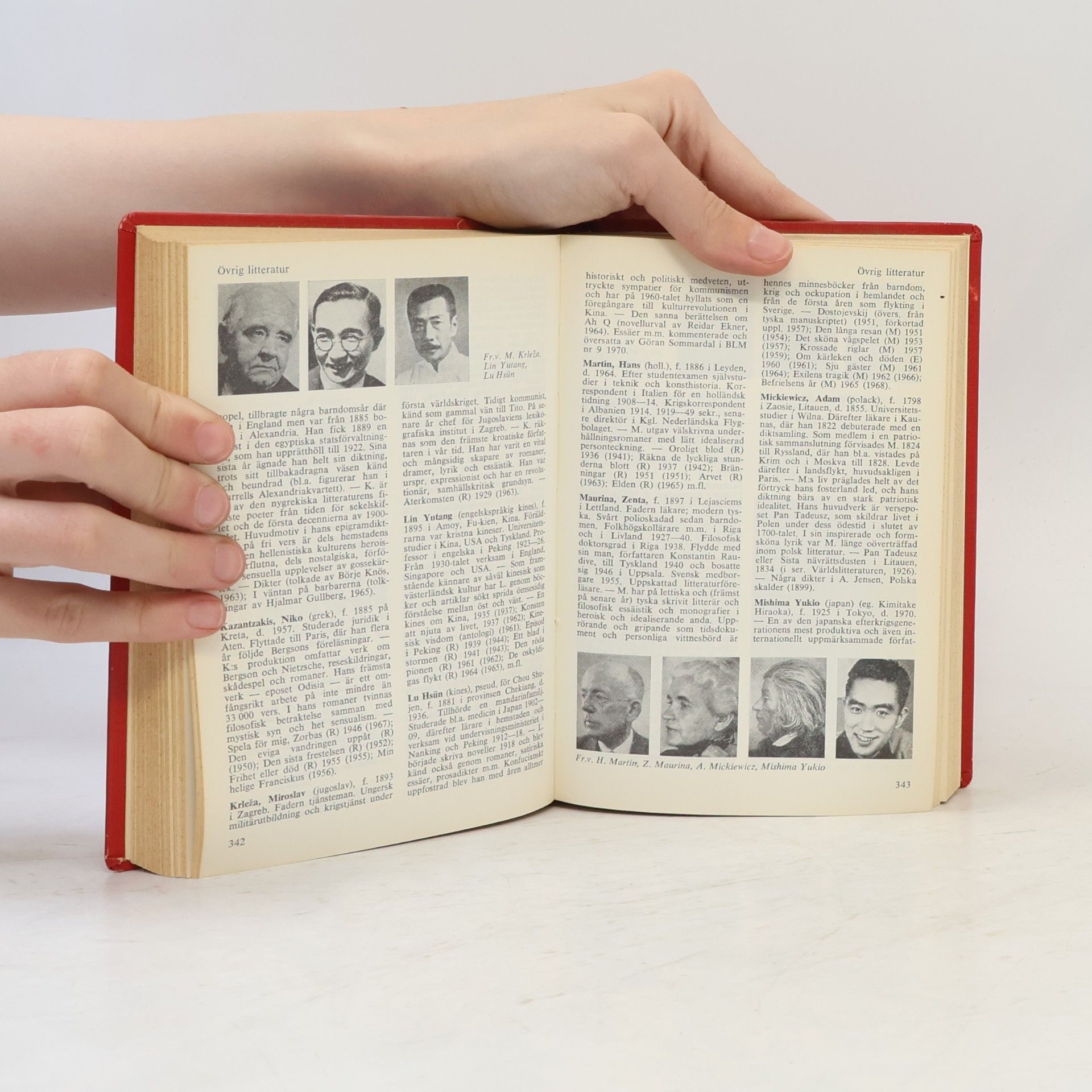 Various authors Litteraturhandboken