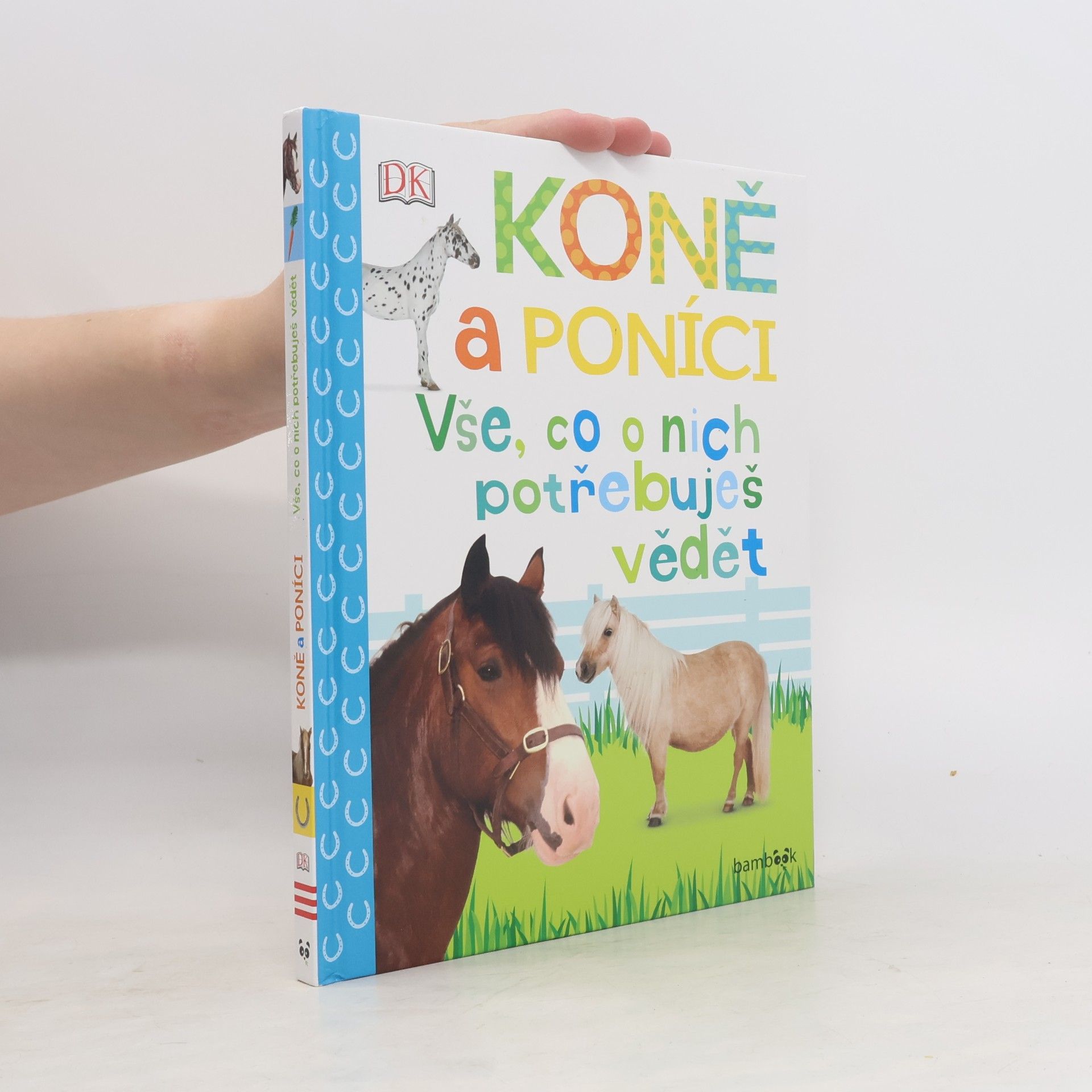 Andrea Mills Koně a poníci – Vše, co o nich potřebuješ vědět