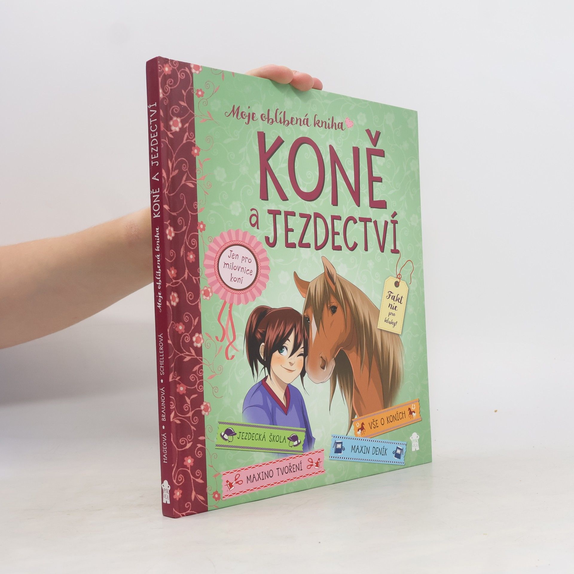 Gudrun Braun Koně a jezdectví - Moje oblíbená kniha