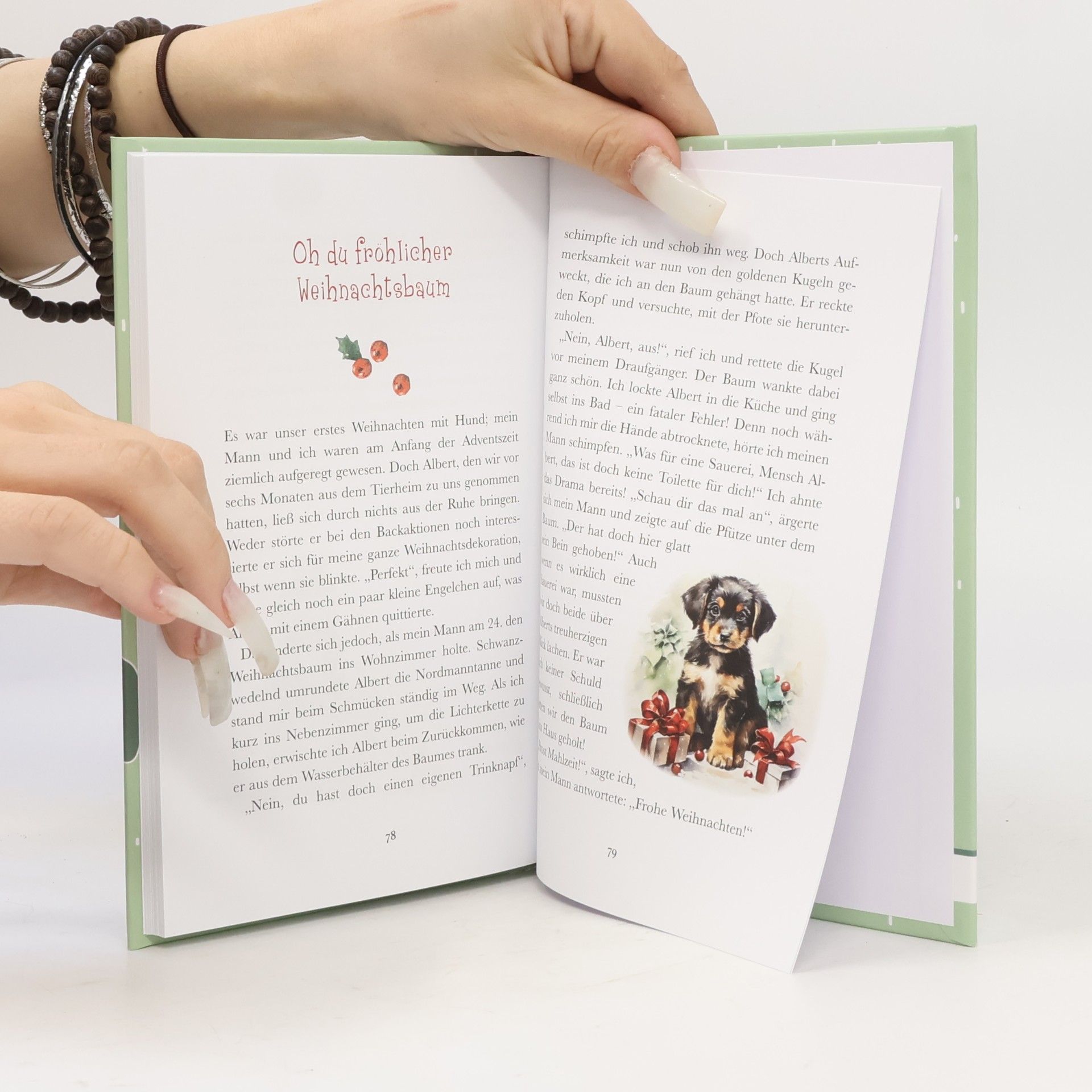 Heike Wendler Eine himmlische Überraschung unterm Tannenbaum. Die schönsten Hundegeschichten