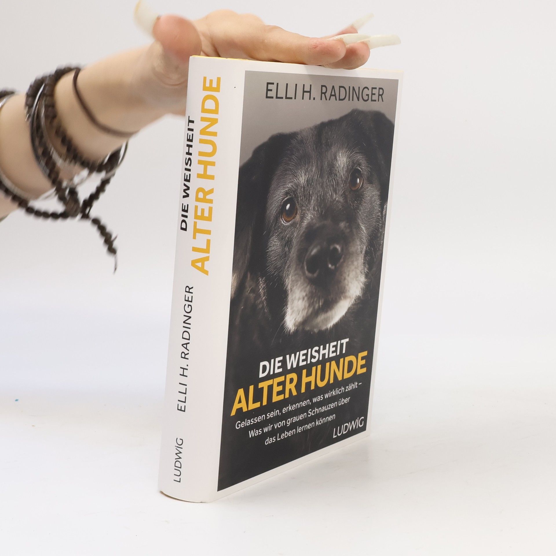 Elli H. Radinger Die Weisheit alter Hunde