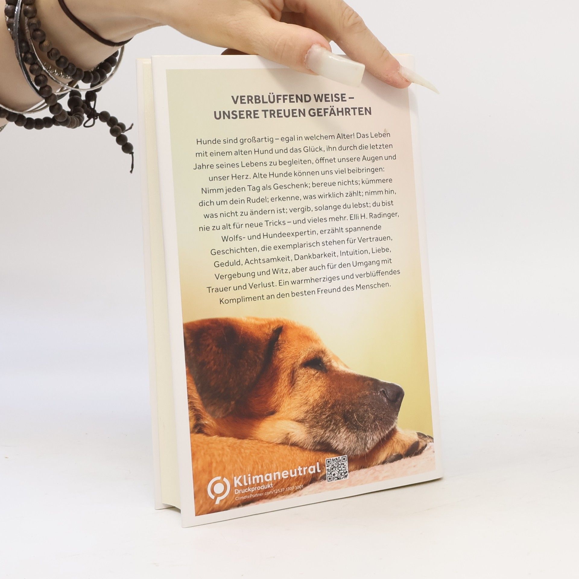 Elli H. Radinger Die Weisheit alter Hunde