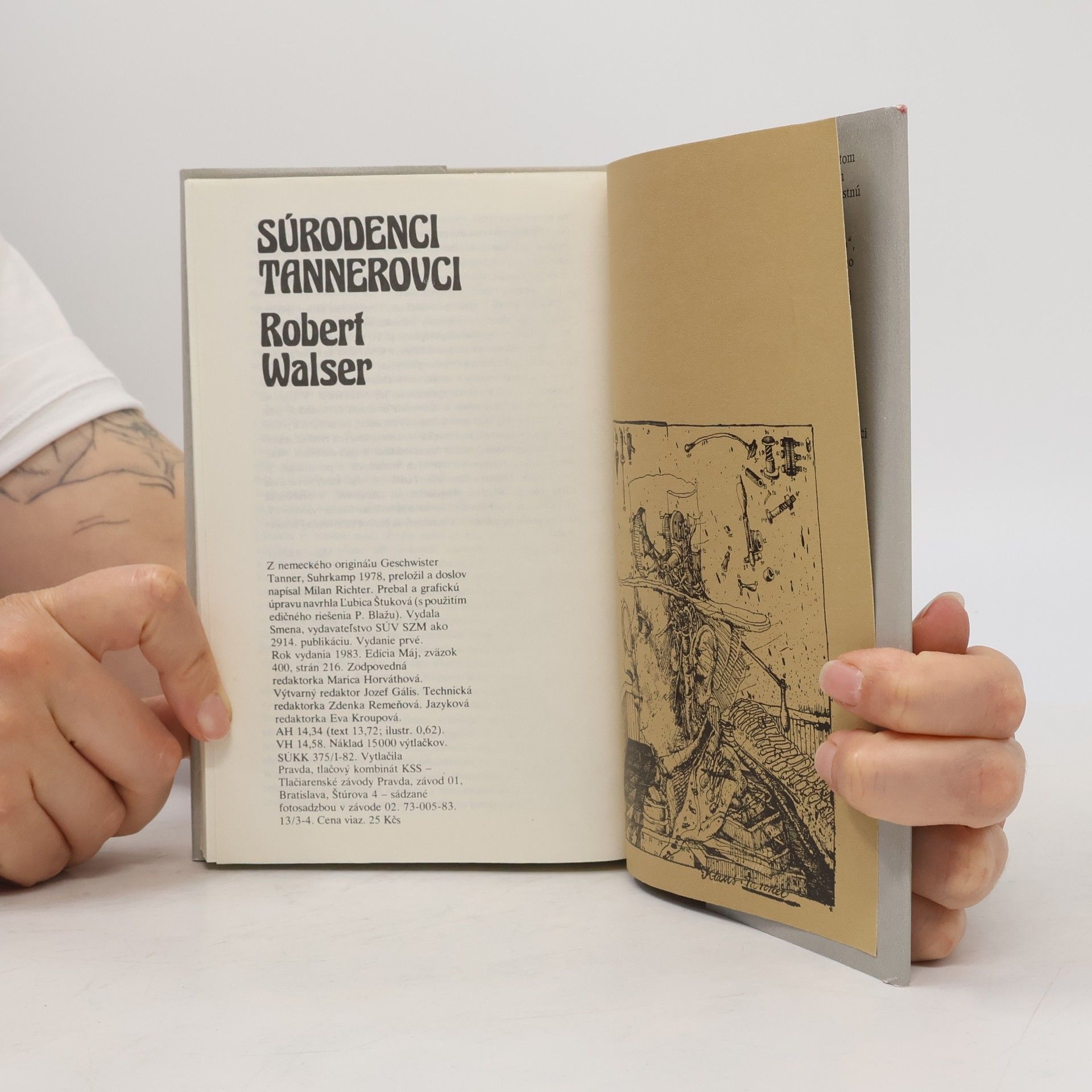 Robert Walser Súrodenci Tannerovci