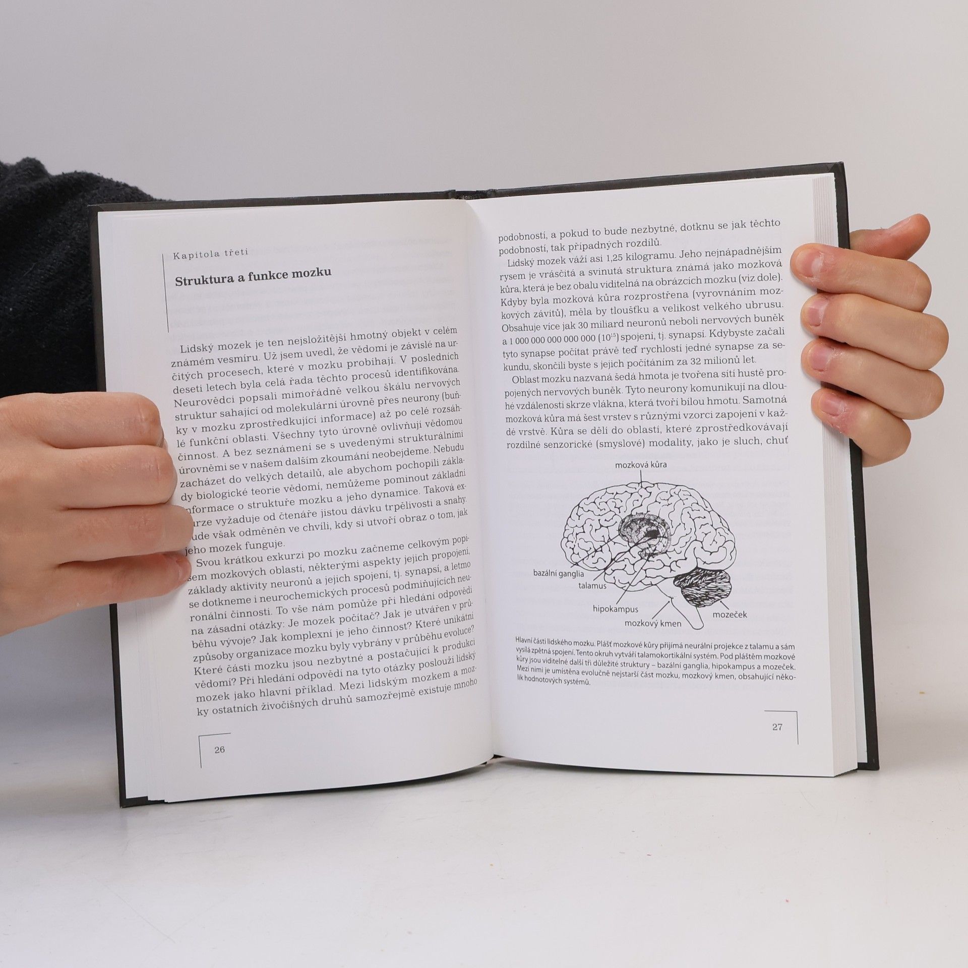 Gerald M. Edelman Širší než obloha. Fenomenální dar vědomí