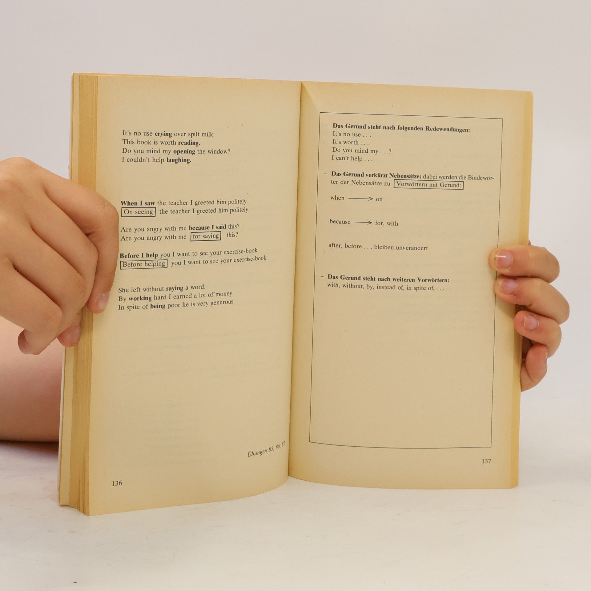 Renate Seebauer Grammatiktraining Englisch