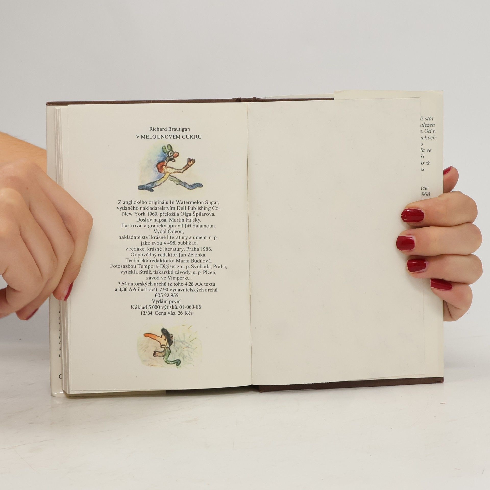 Richard Brautigan V melounovém cukru