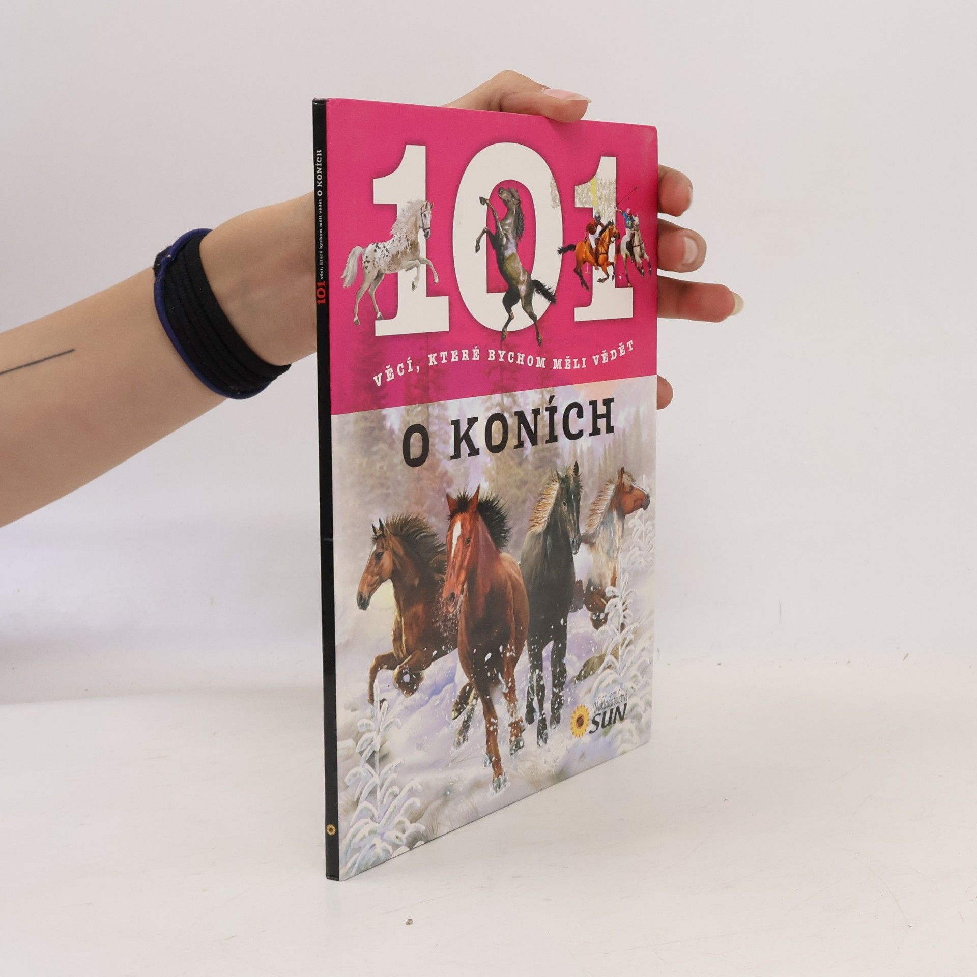 Hana Jovanovičová 101 věcí, které bychom měli vědět o koních