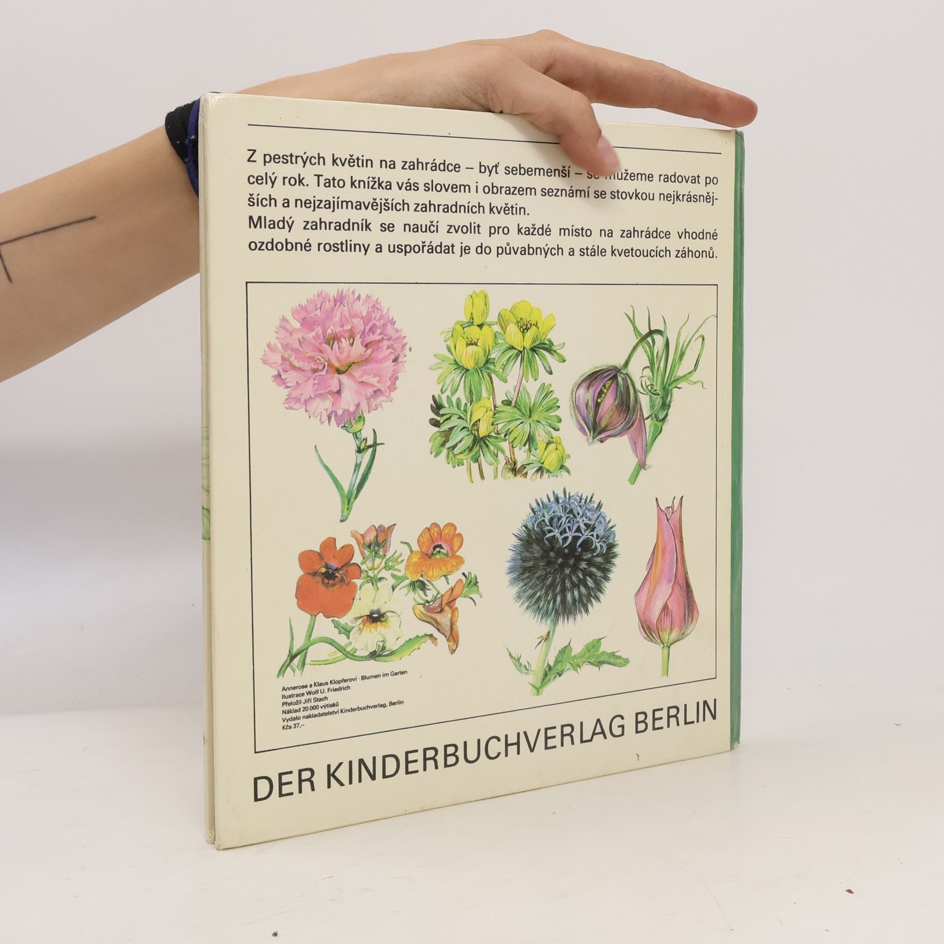 Annerose Klopfer Květiny na zahradě