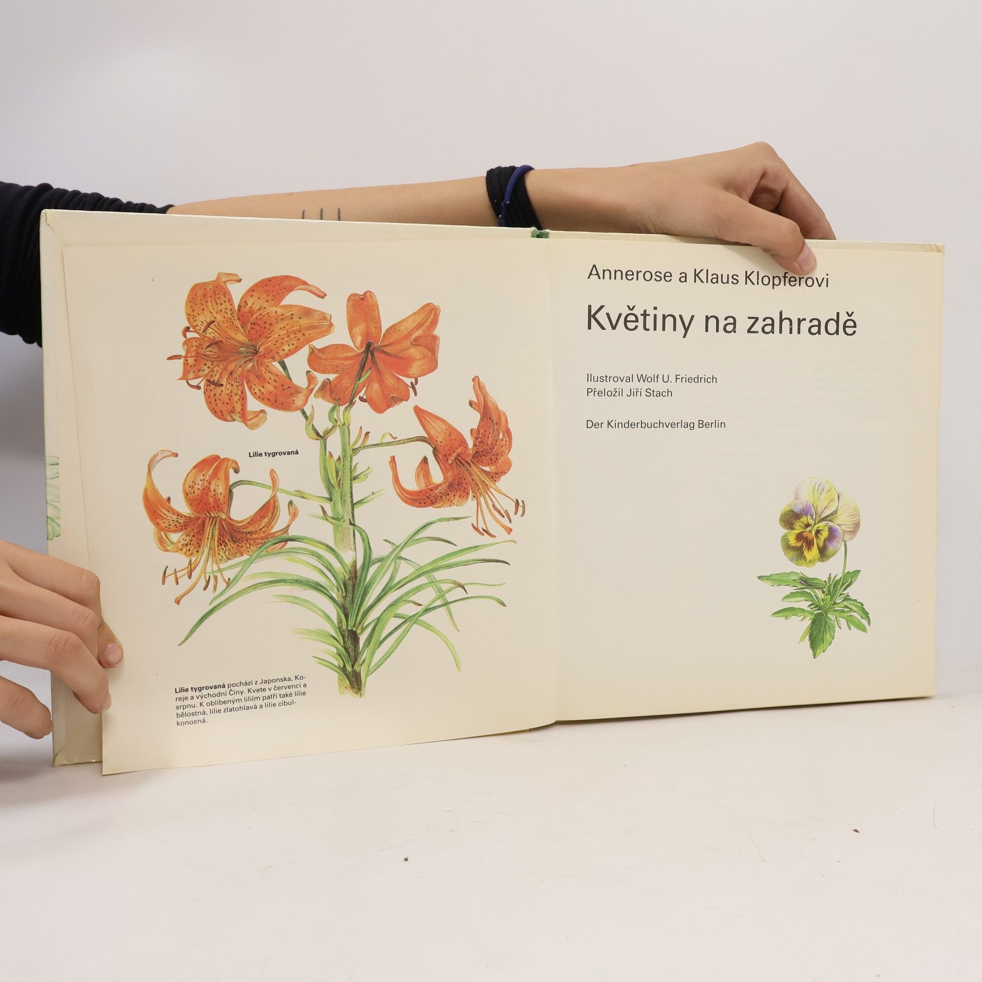 Annerose Klopfer Květiny na zahradě
