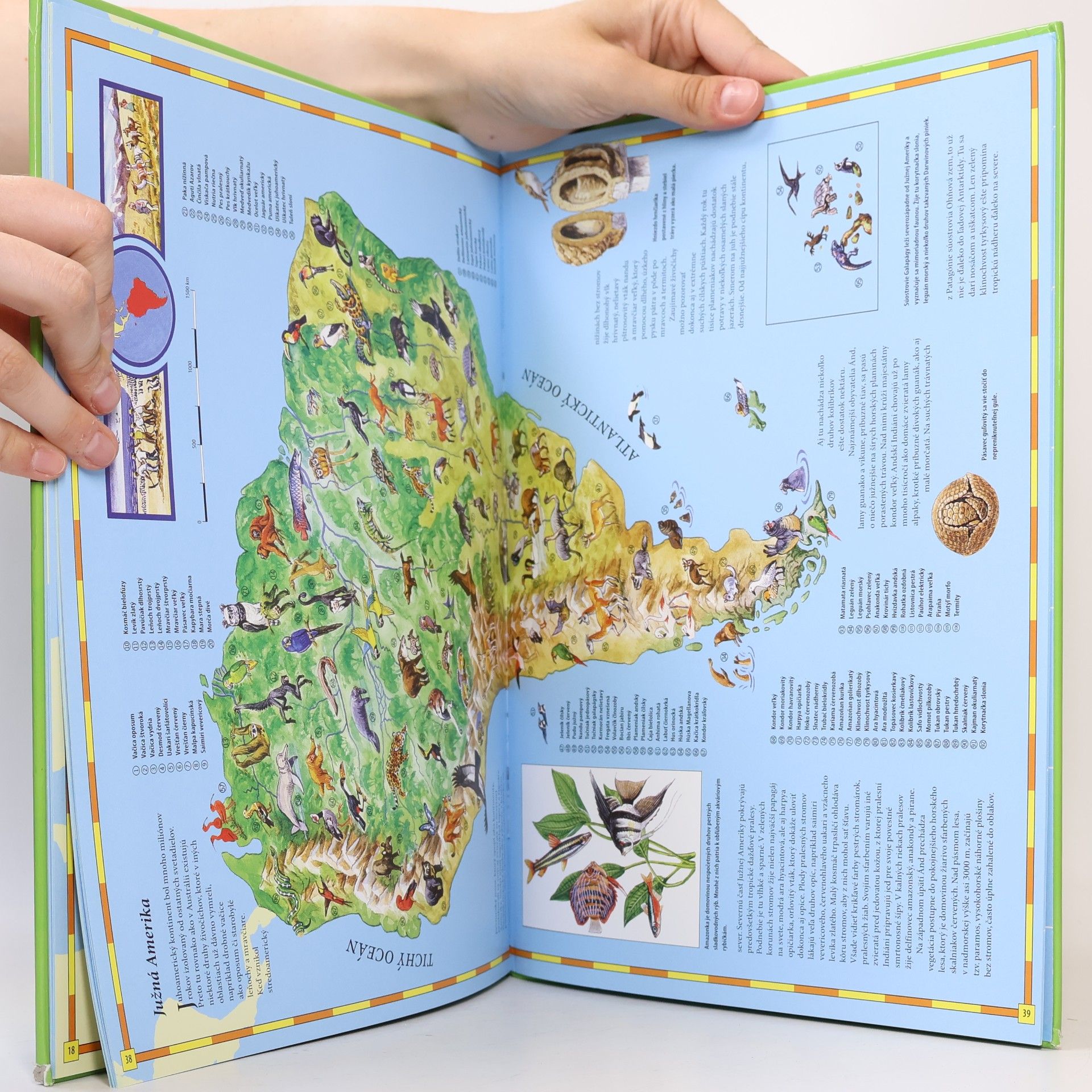 Autorenkollektiv Veľký detský atlas zvierat