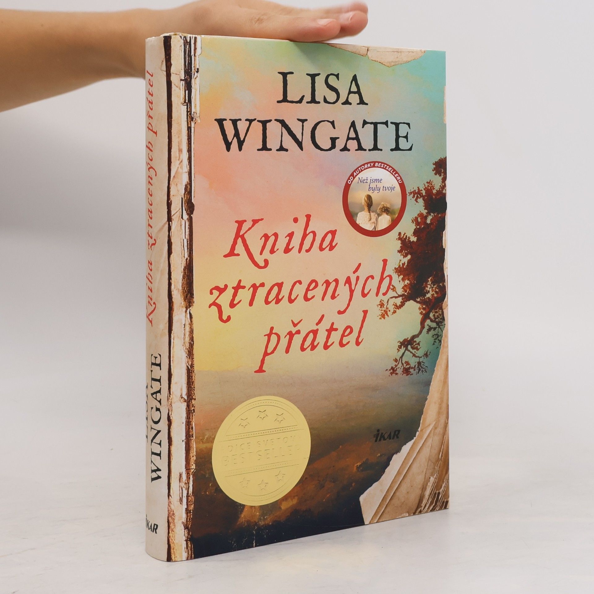 Lisa Wingate Kniha ztracených přátel