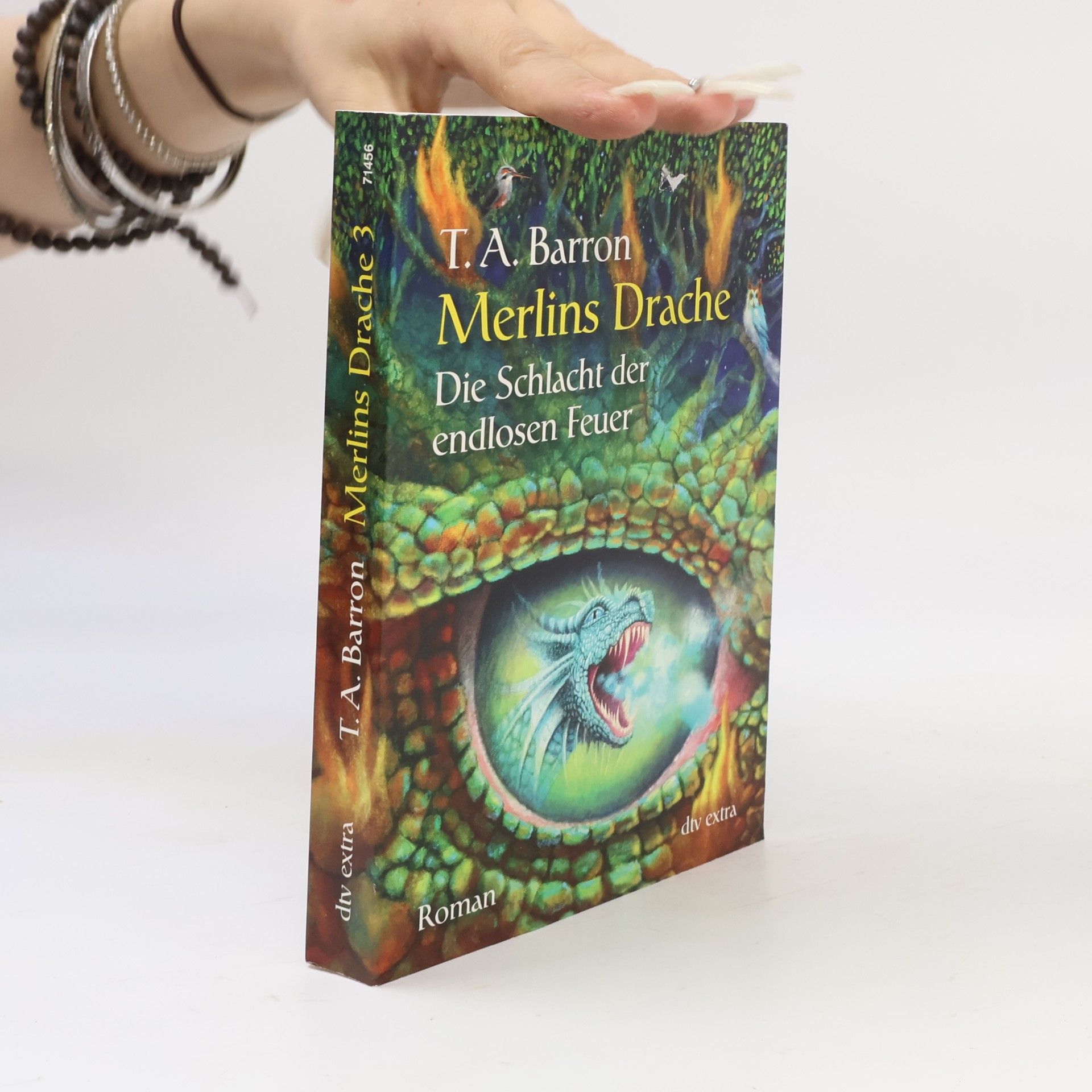 Irmela Brender Merlins Drache - Die Schlacht der endlosen Feuer. Band 3
