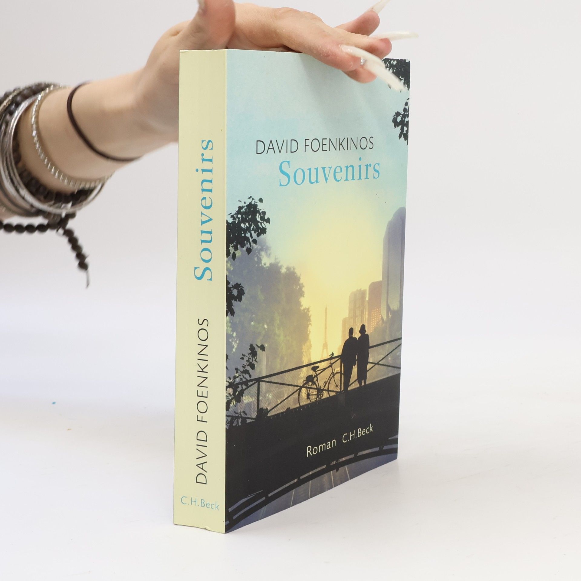 David Foenkinos Souvenirs