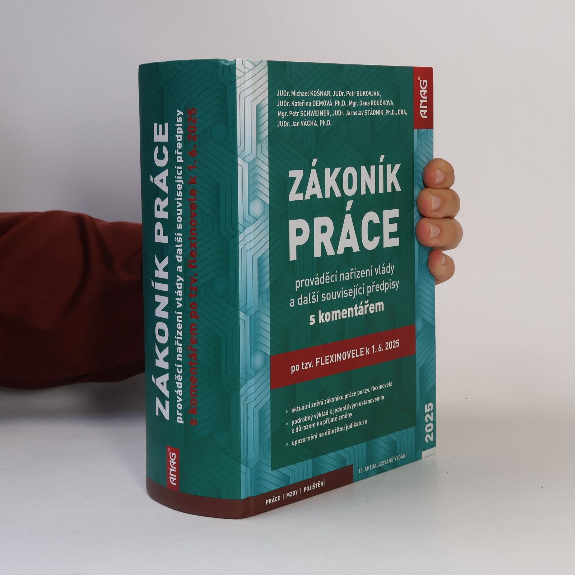 Michael Košnar Zákoník práce, prováděcí nařízení vlády a další související předpisy s komentářem po tzv. flexinovele