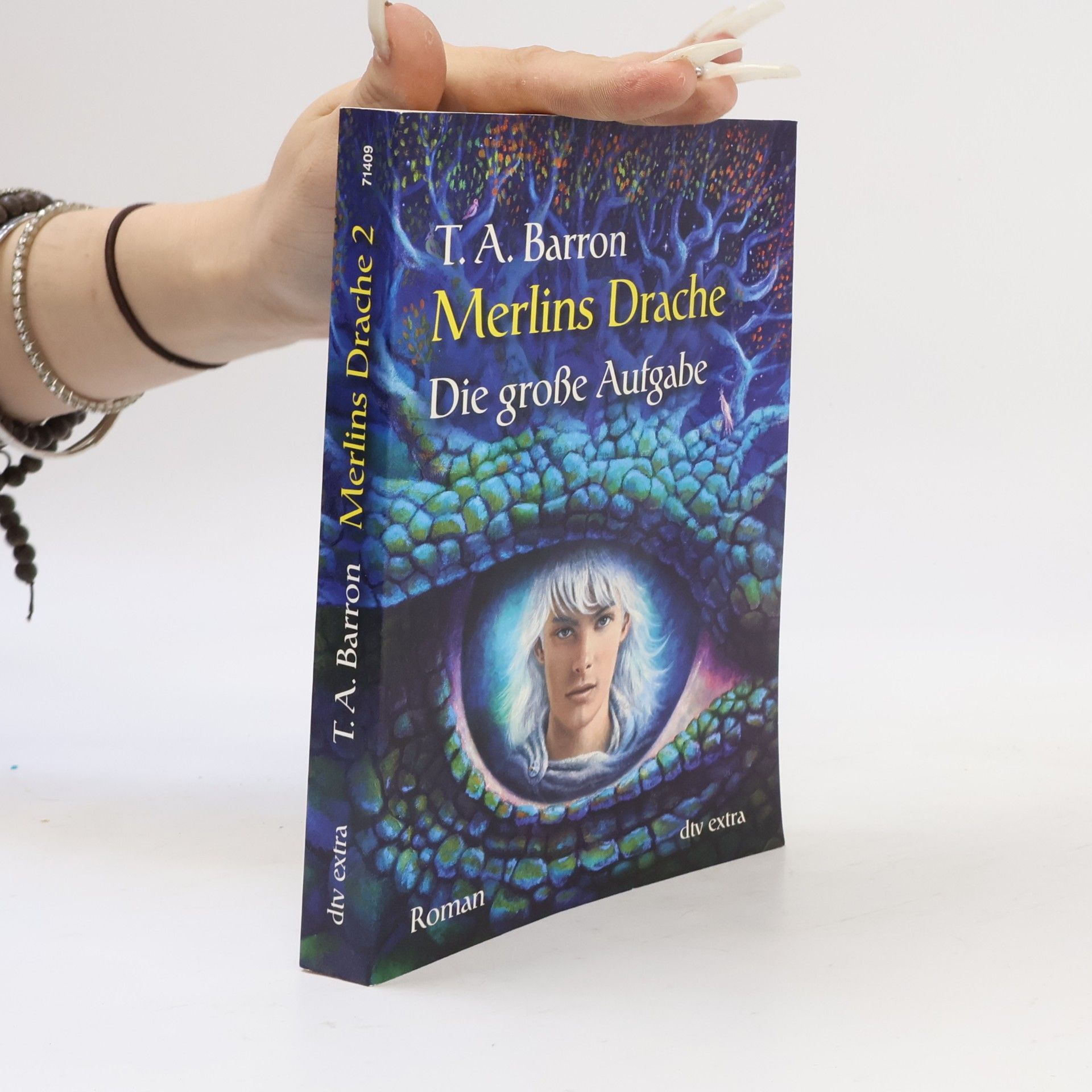 T. A. Barron Merlins Drache II - Die große Aufgabe. Roman