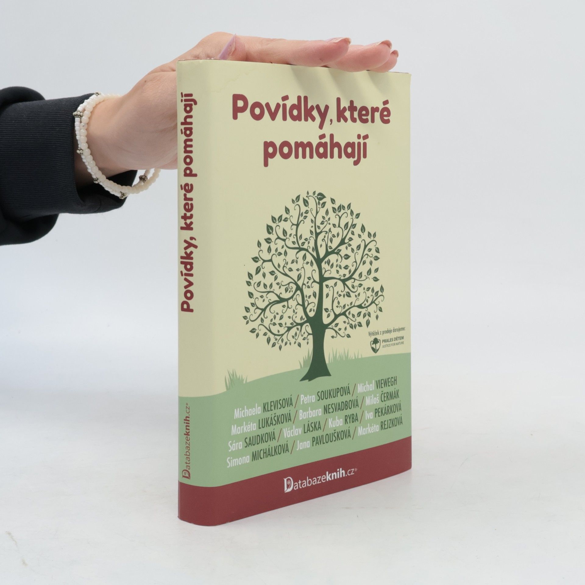 Kolektiv autorů Povídky, které pomáhají